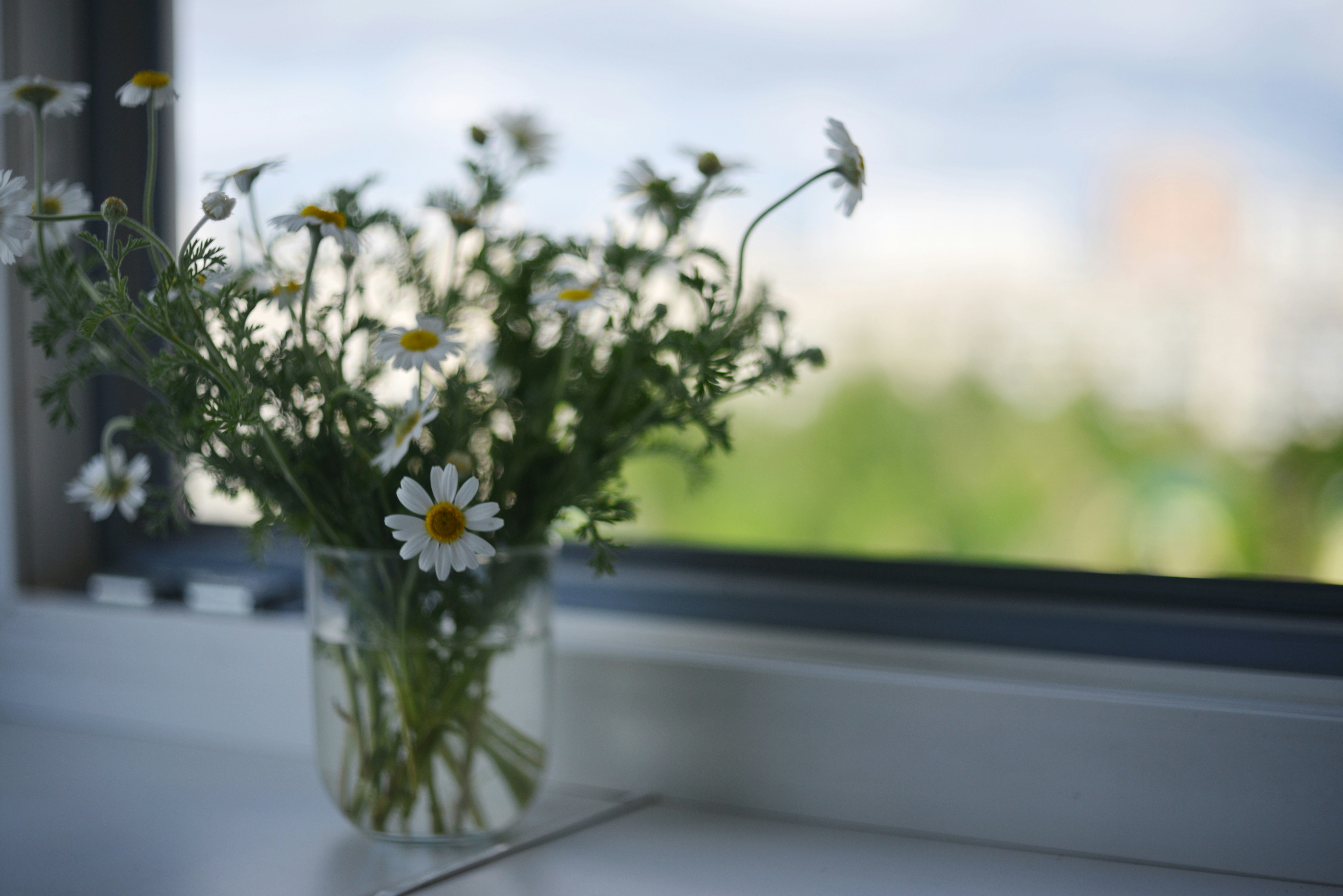 Photo by cherstve_pechivo