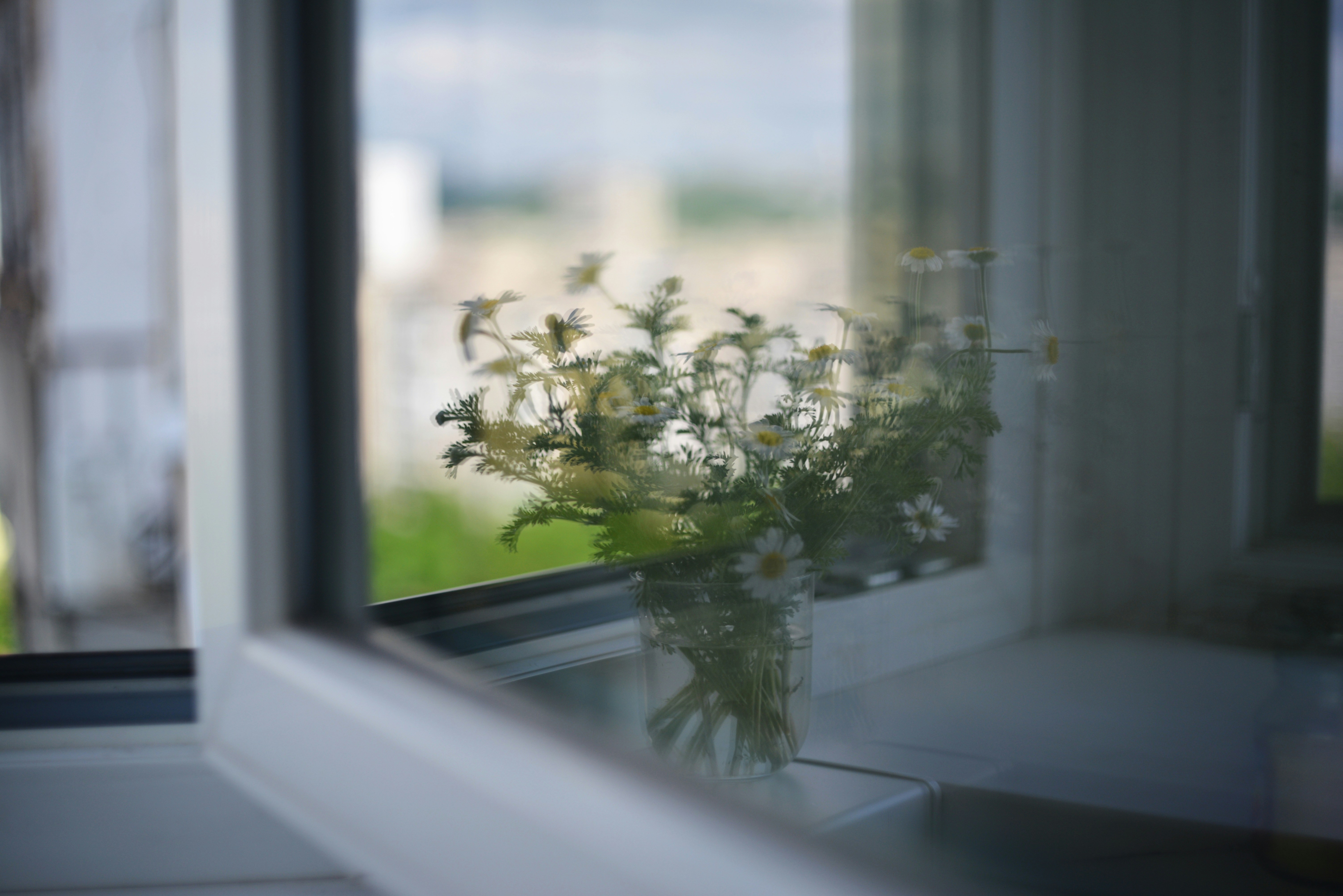 Photo by cherstve_pechivo