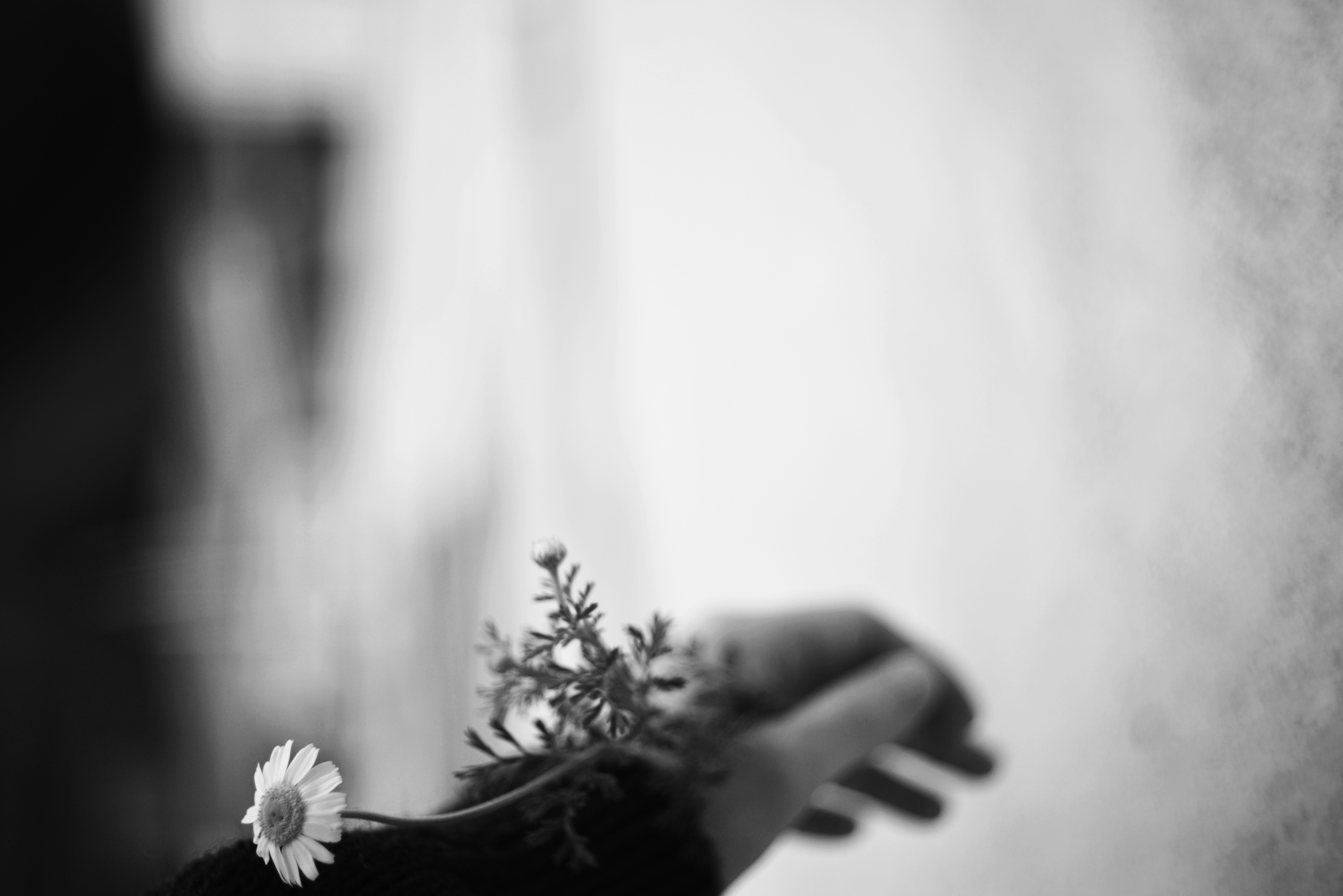 Photo by cherstve_pechivo