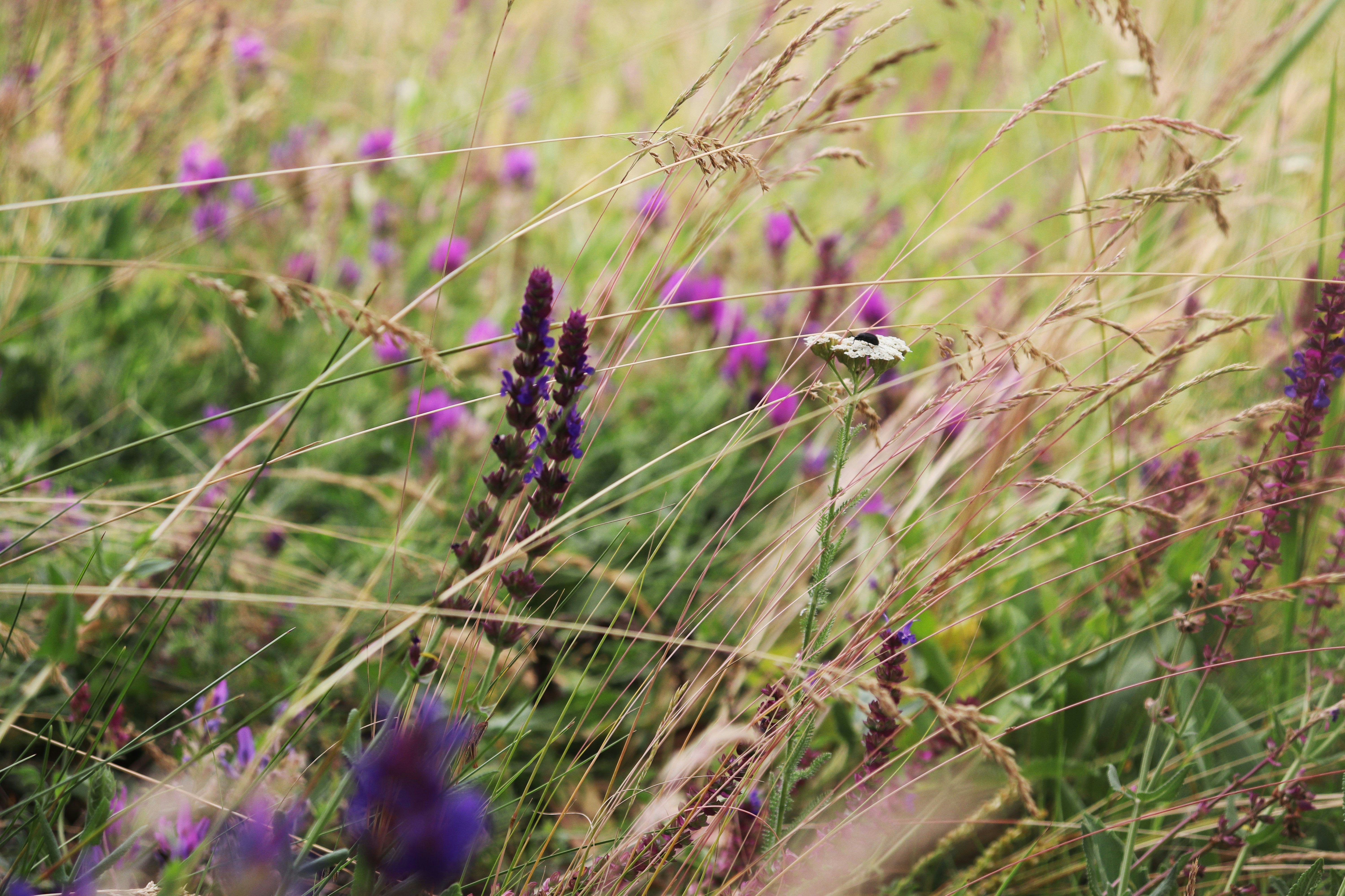 Photo by stasiaspark