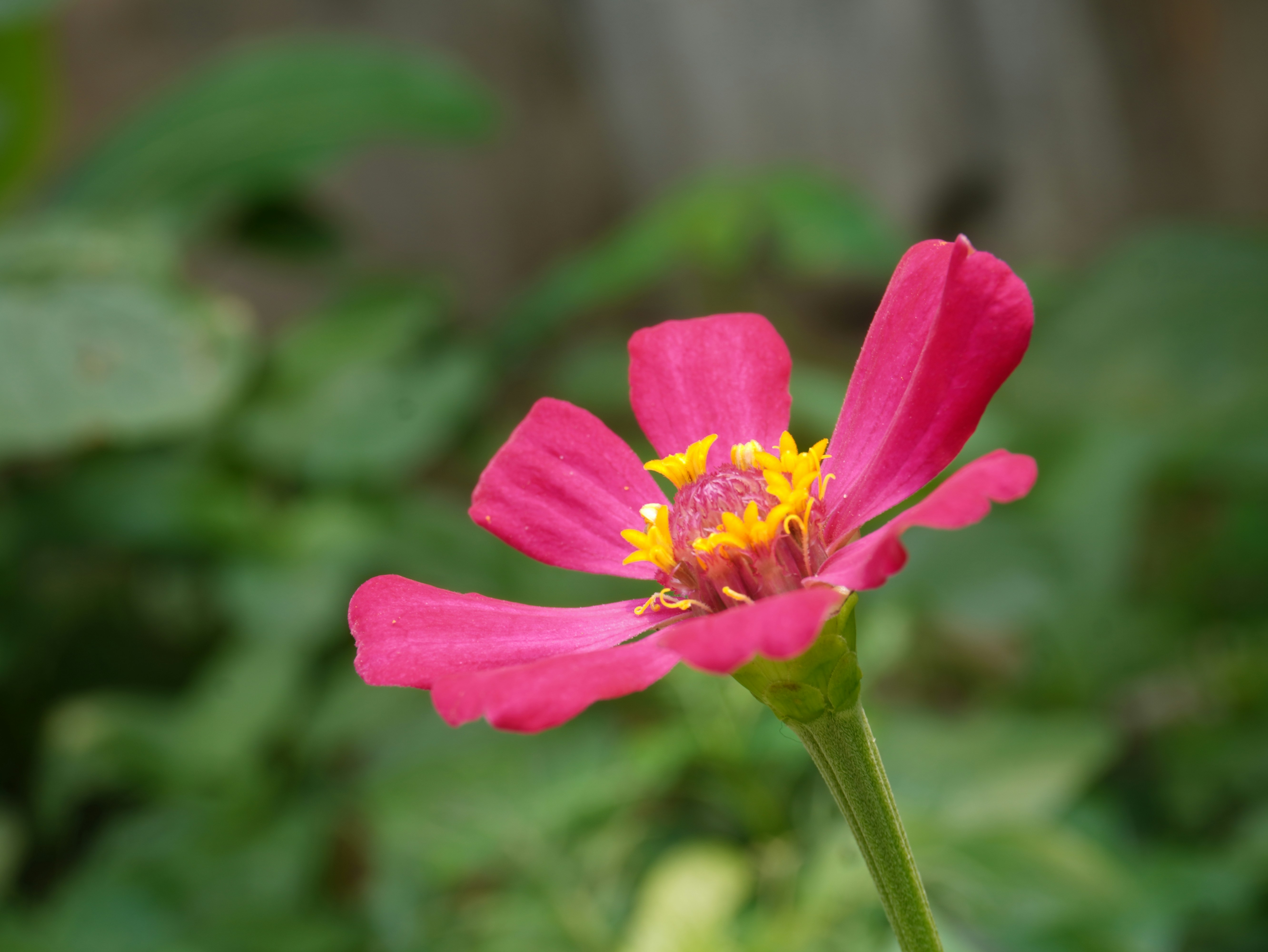 Photo by saungdigital