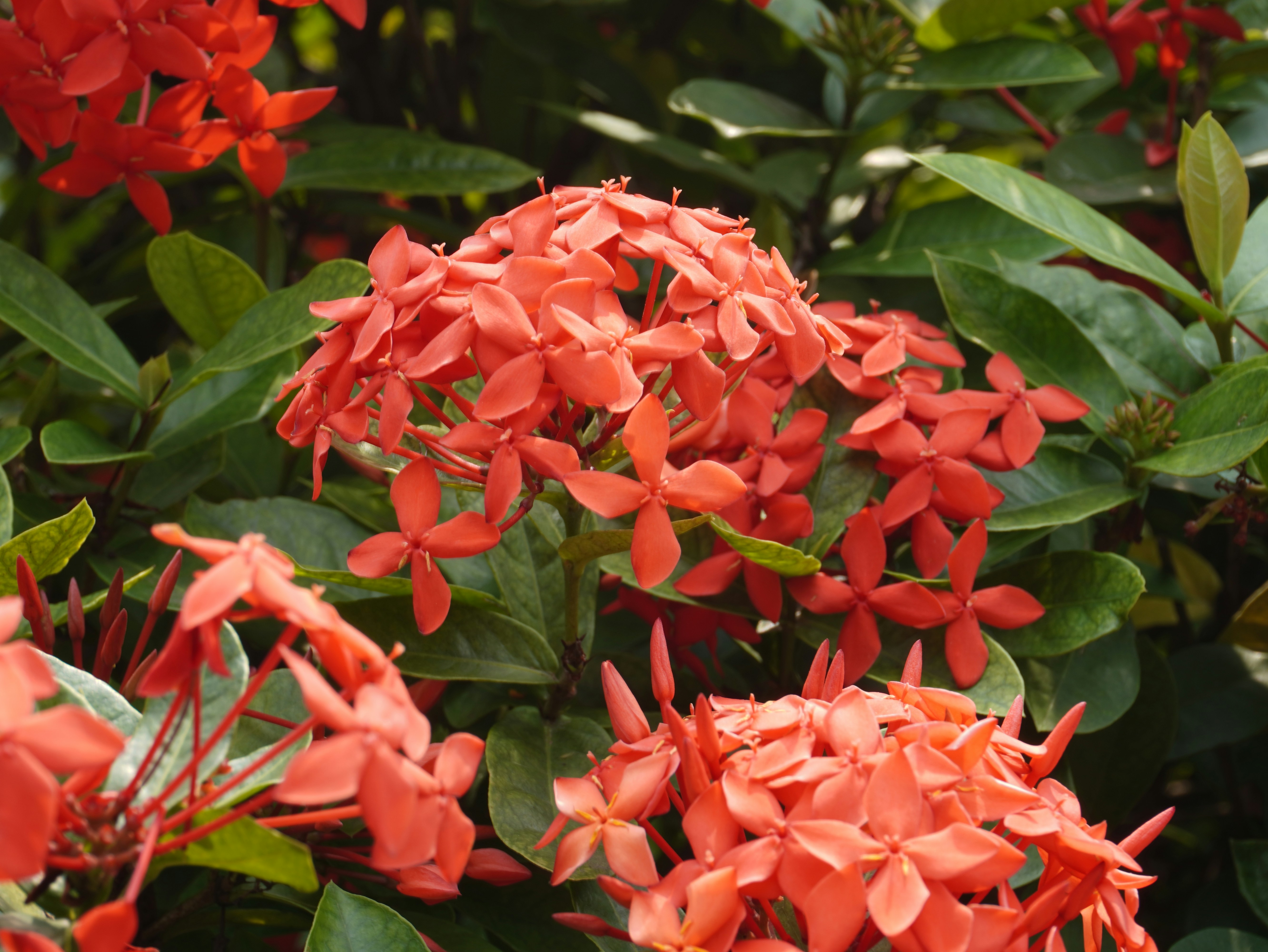 Photo by saungdigital