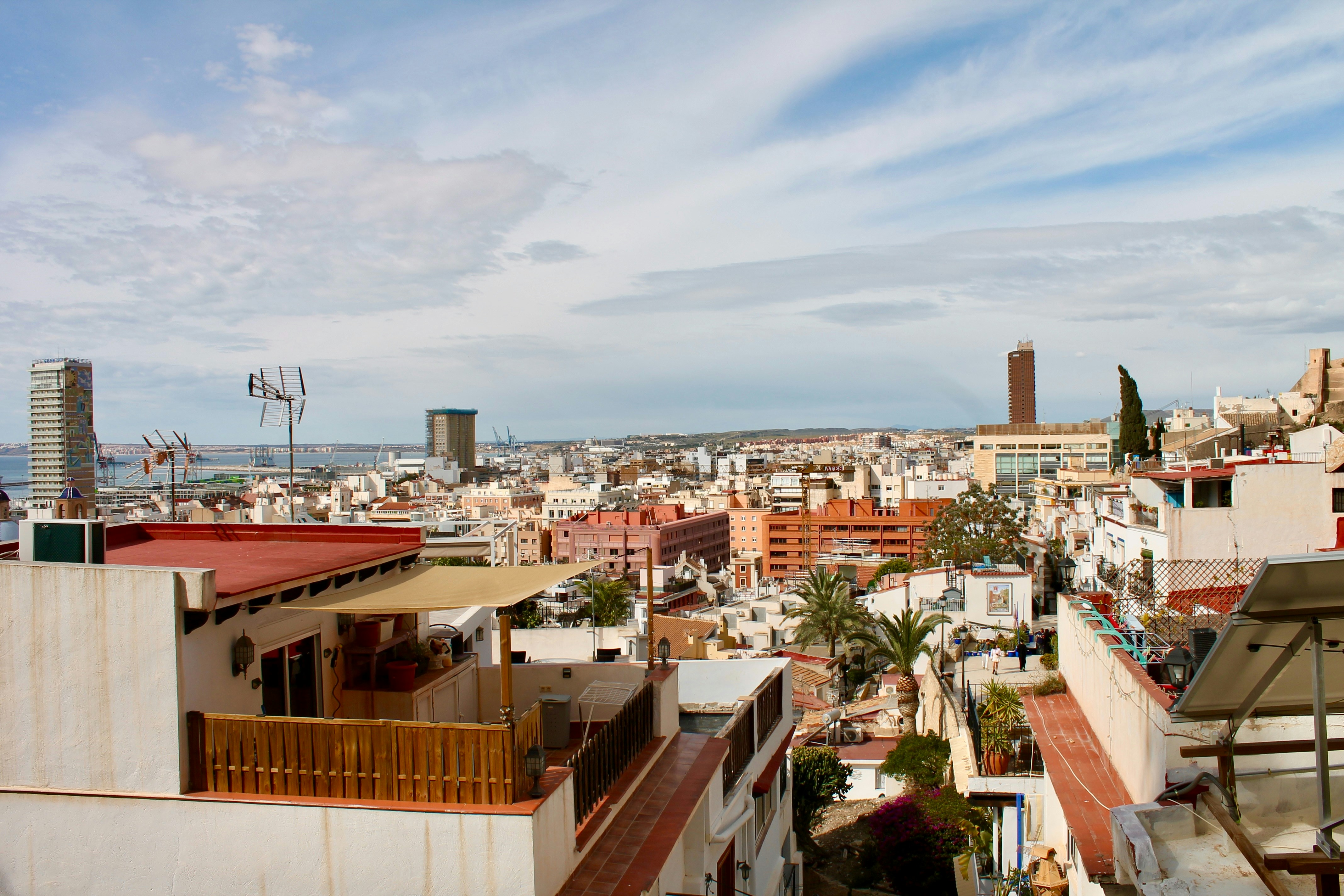 Image by M K via Unsplash