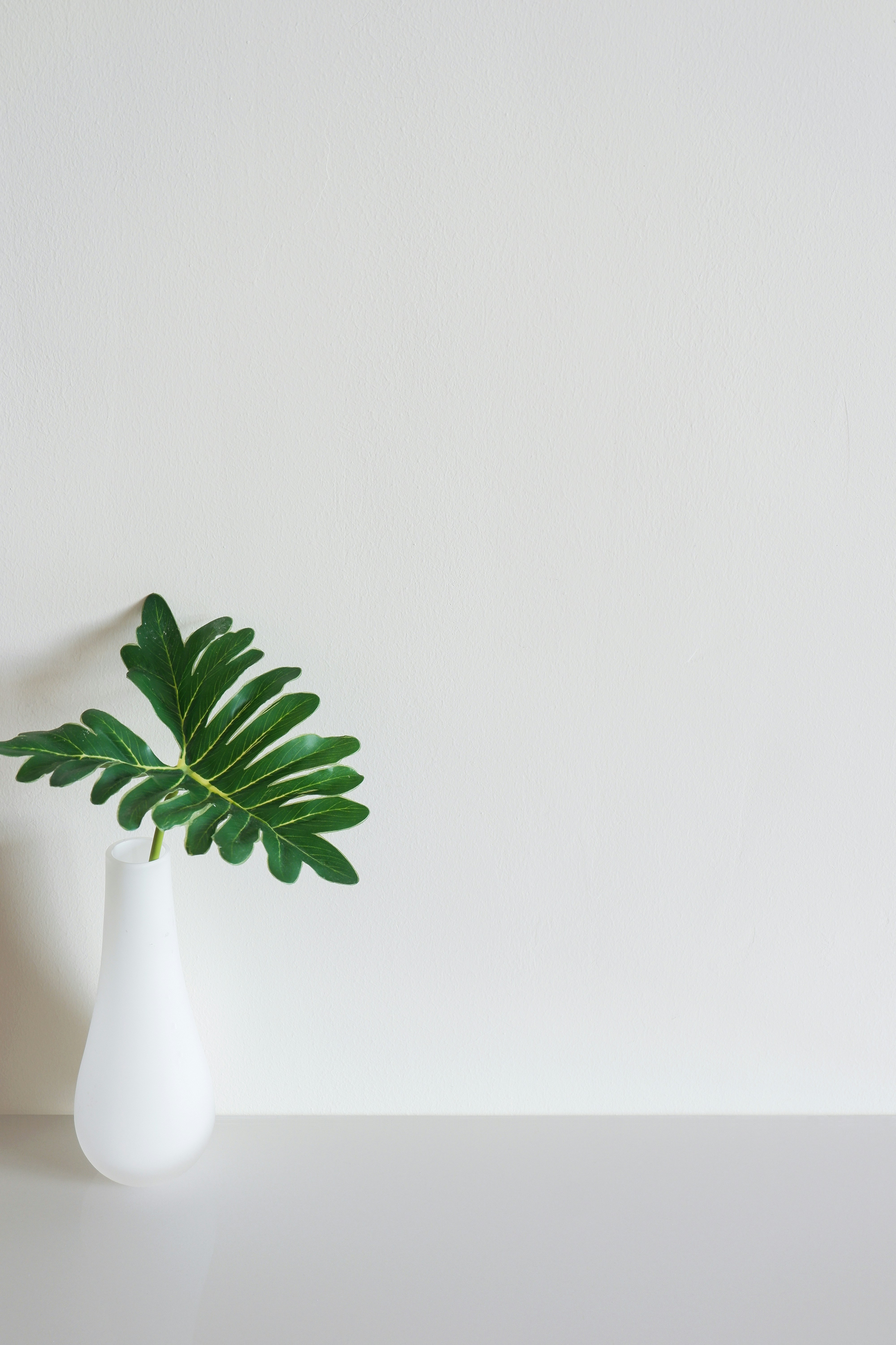 Photo by andreastuart