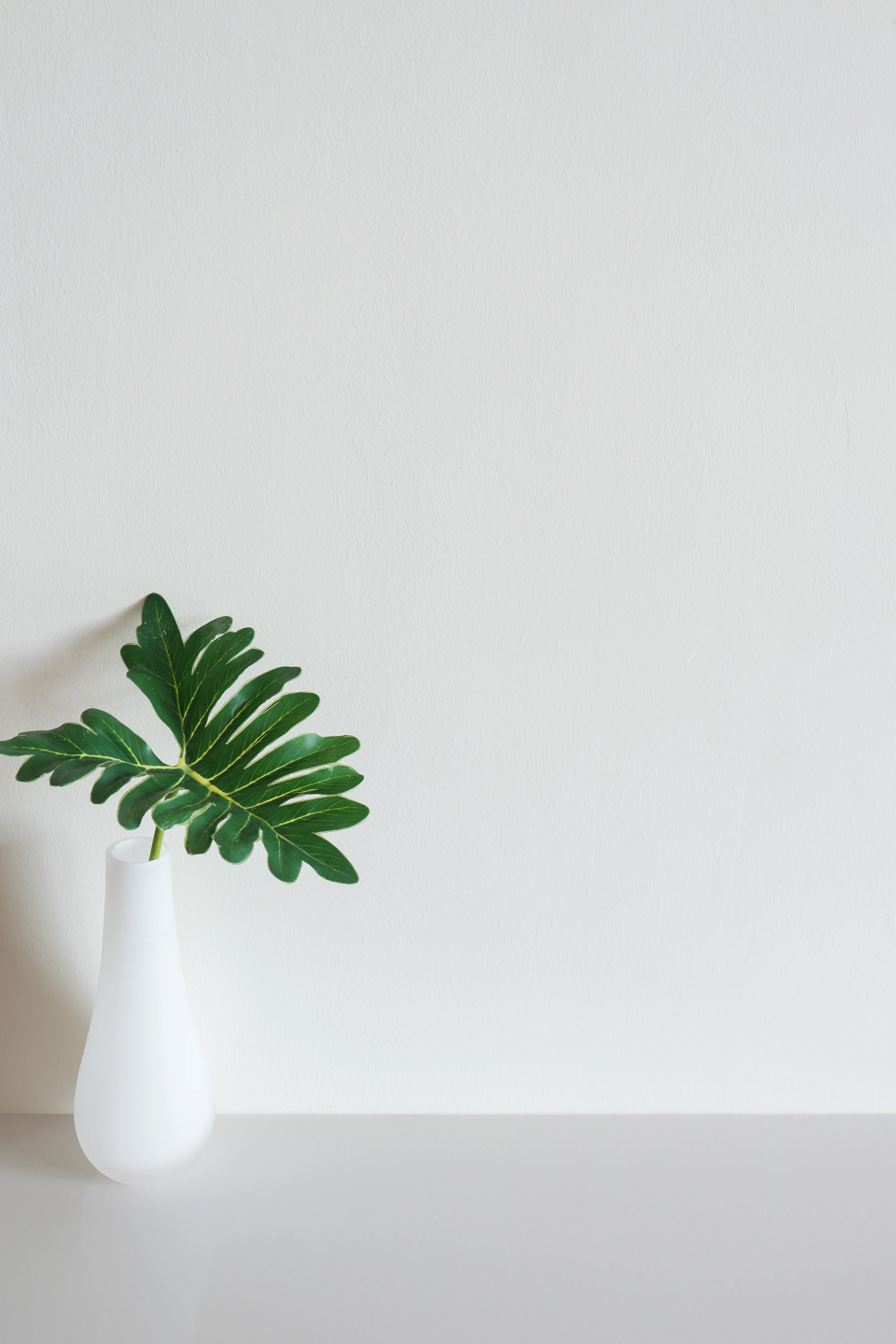 A single green leaf in a white vase.