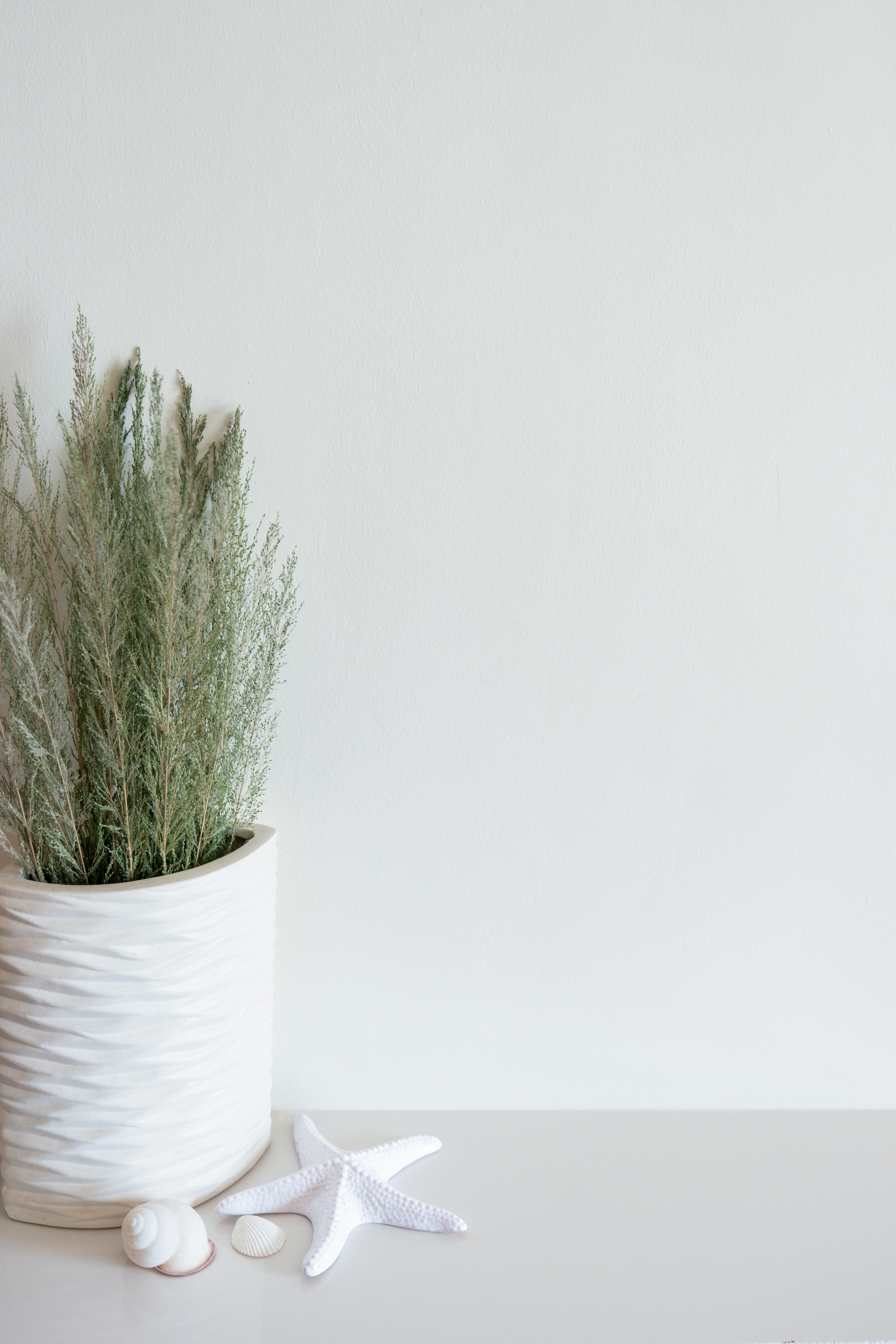 Photo by andreastuart