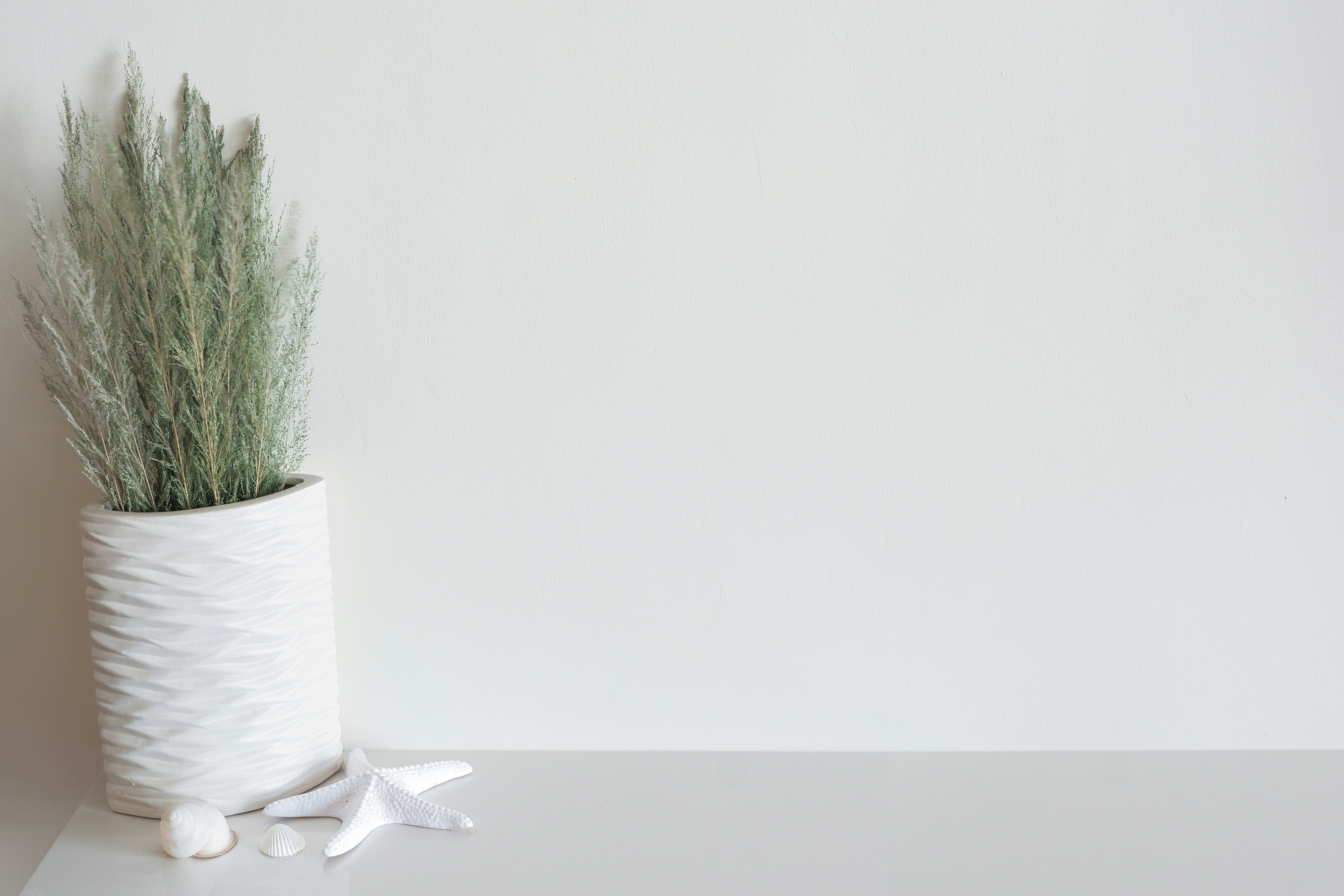 Photo by andreastuart