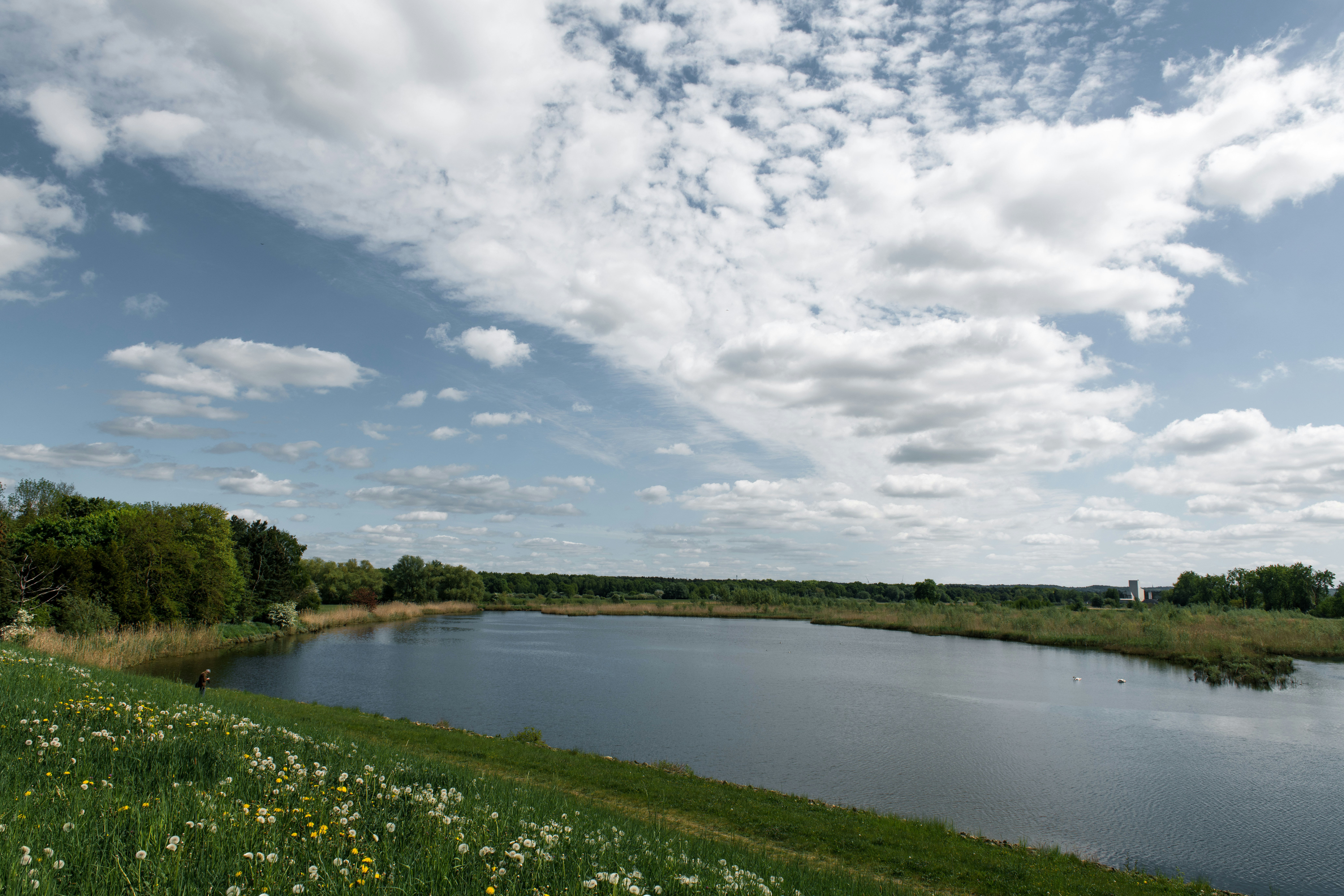 Photo by hamburgmeinefreundin