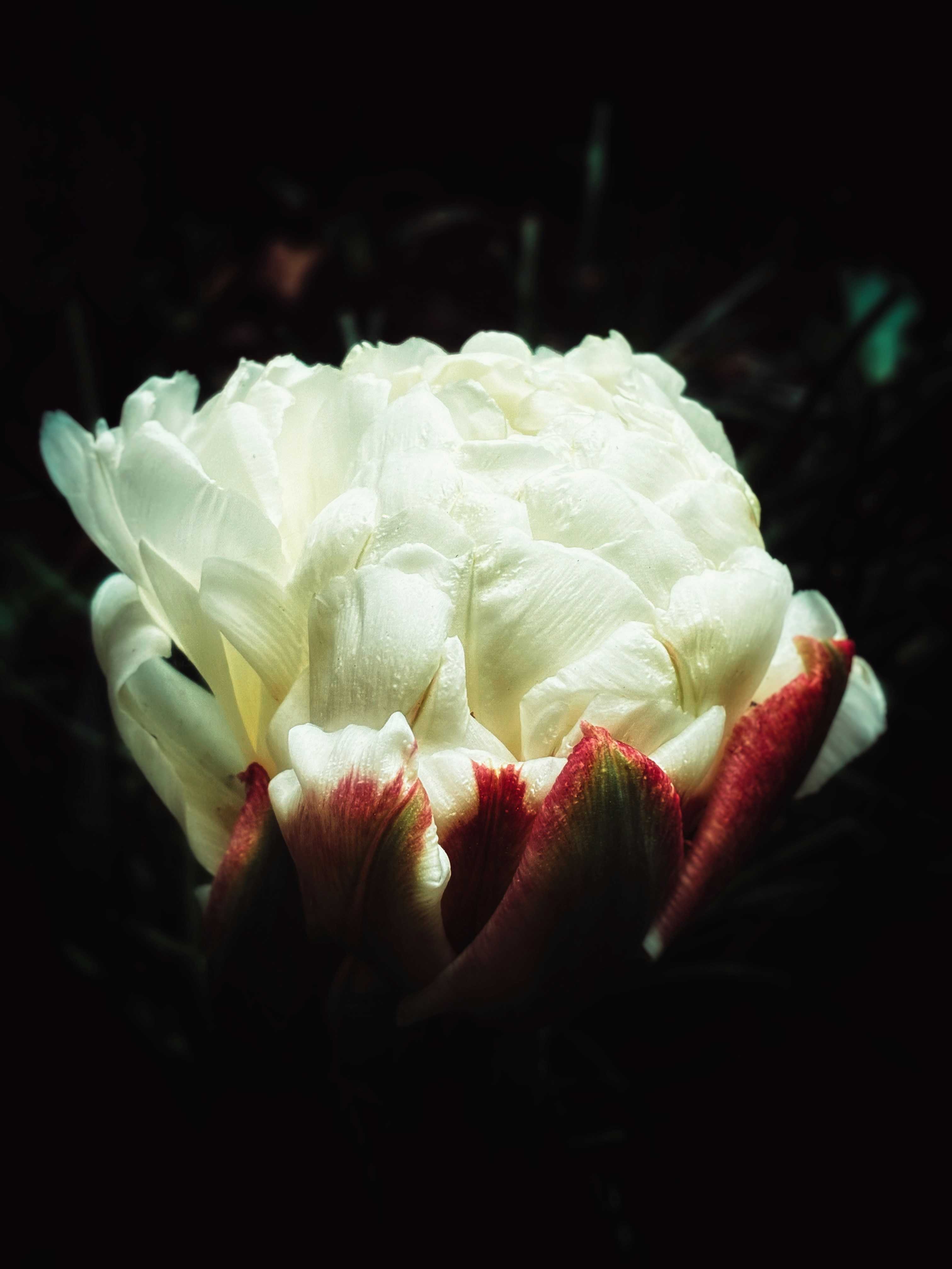 Photo by whitegreenartichoke