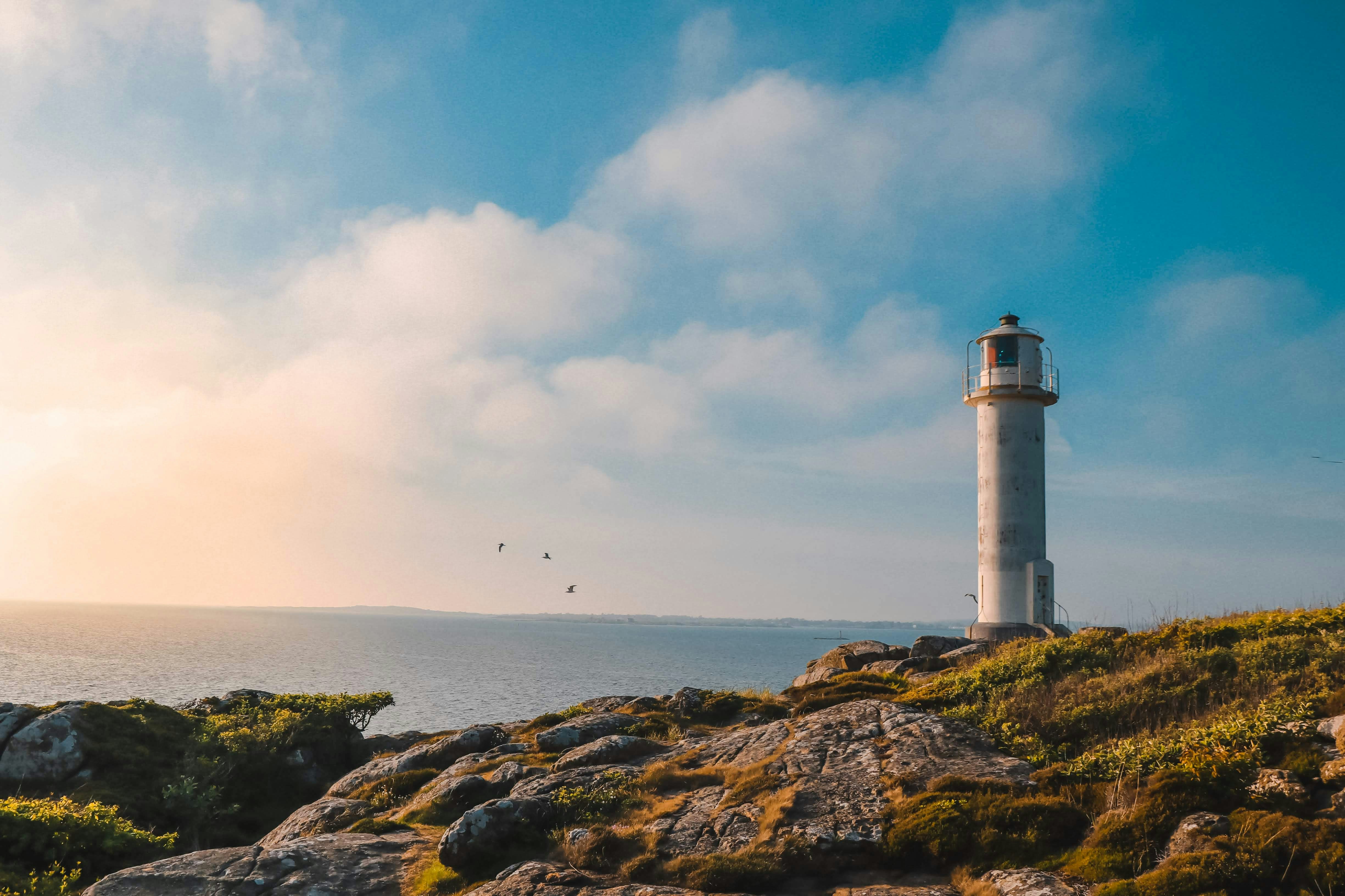 Photo by nik_nikolla_