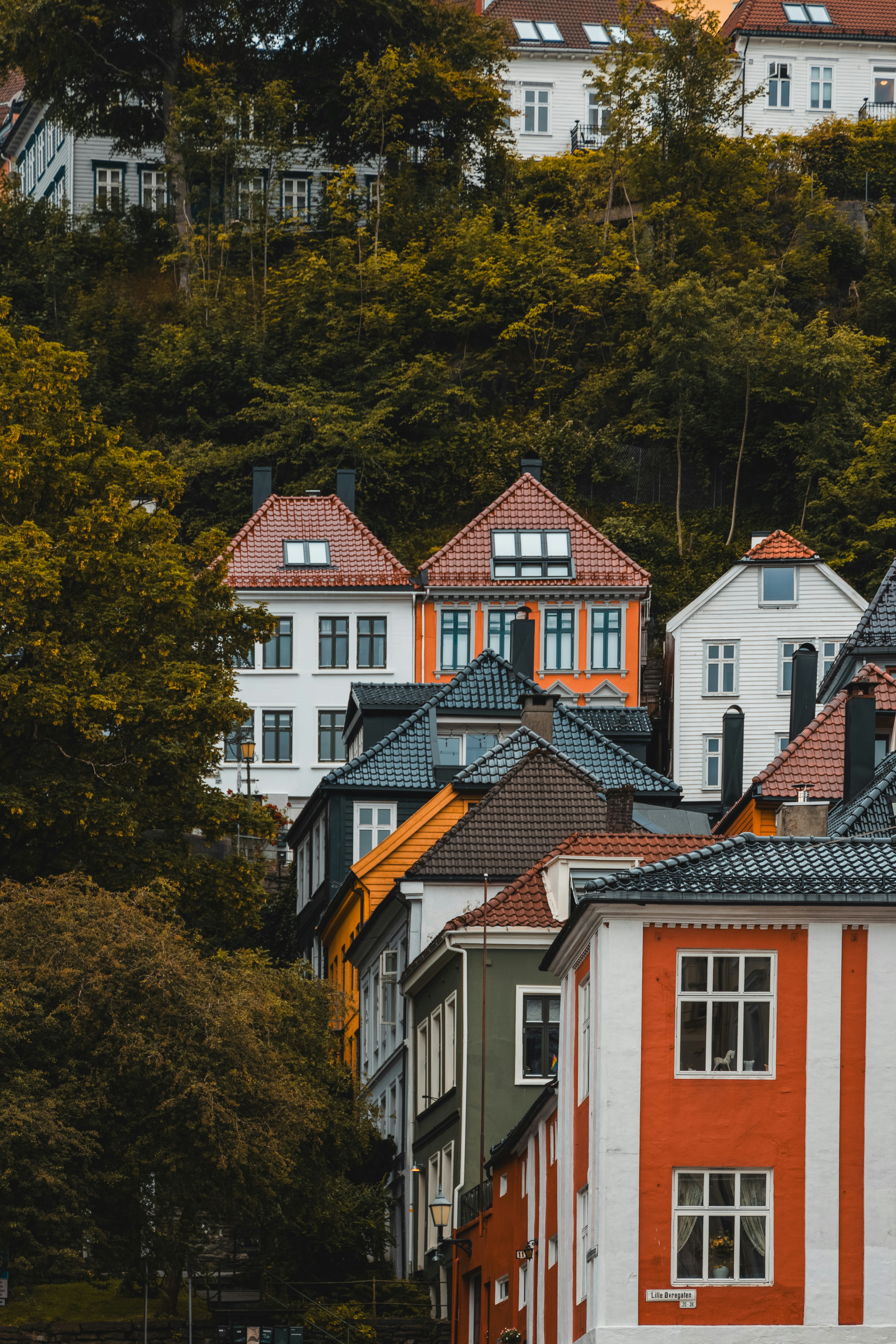 Photo by nik_nikolla_