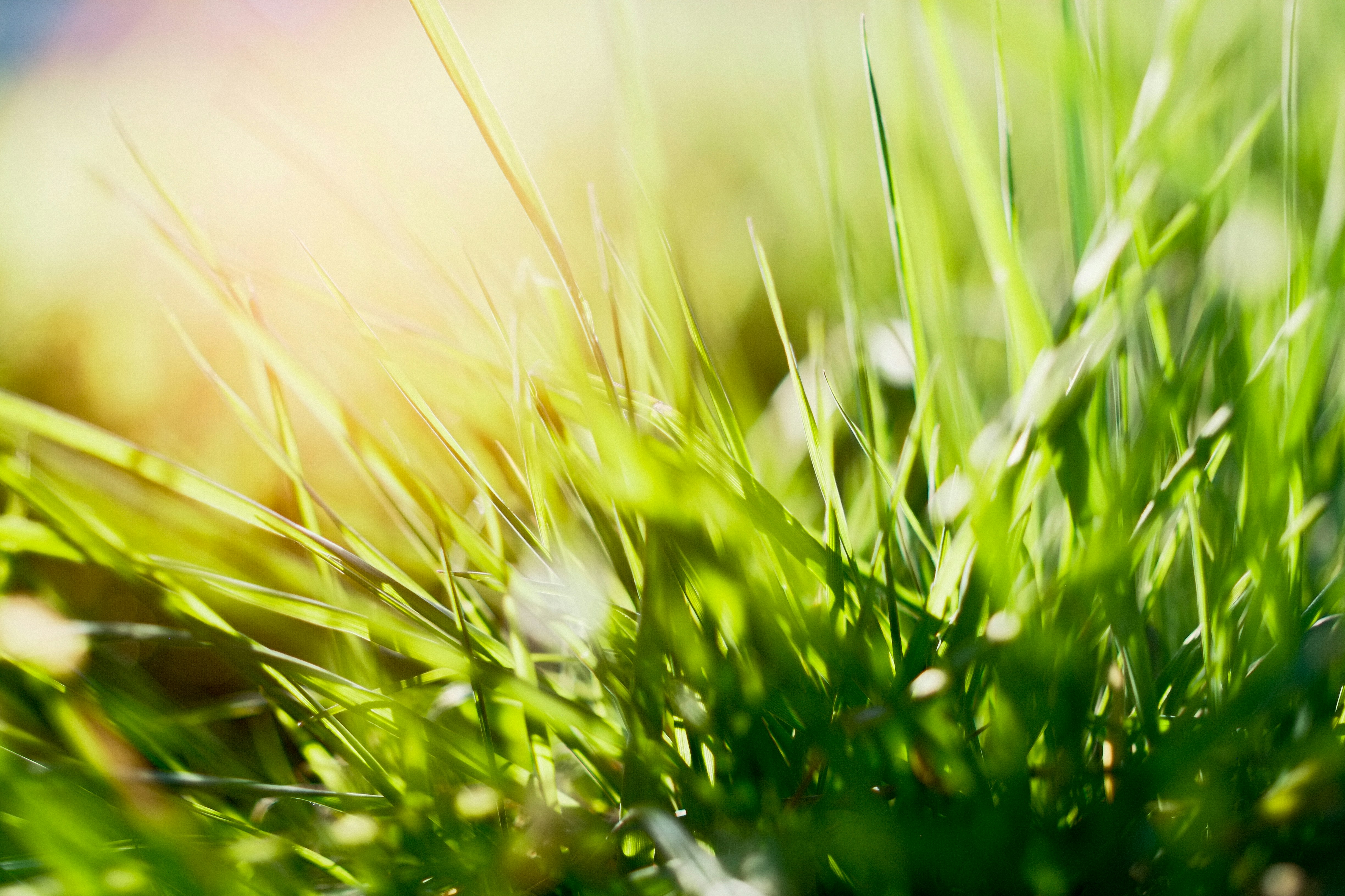 Photo by sebastian_niemann