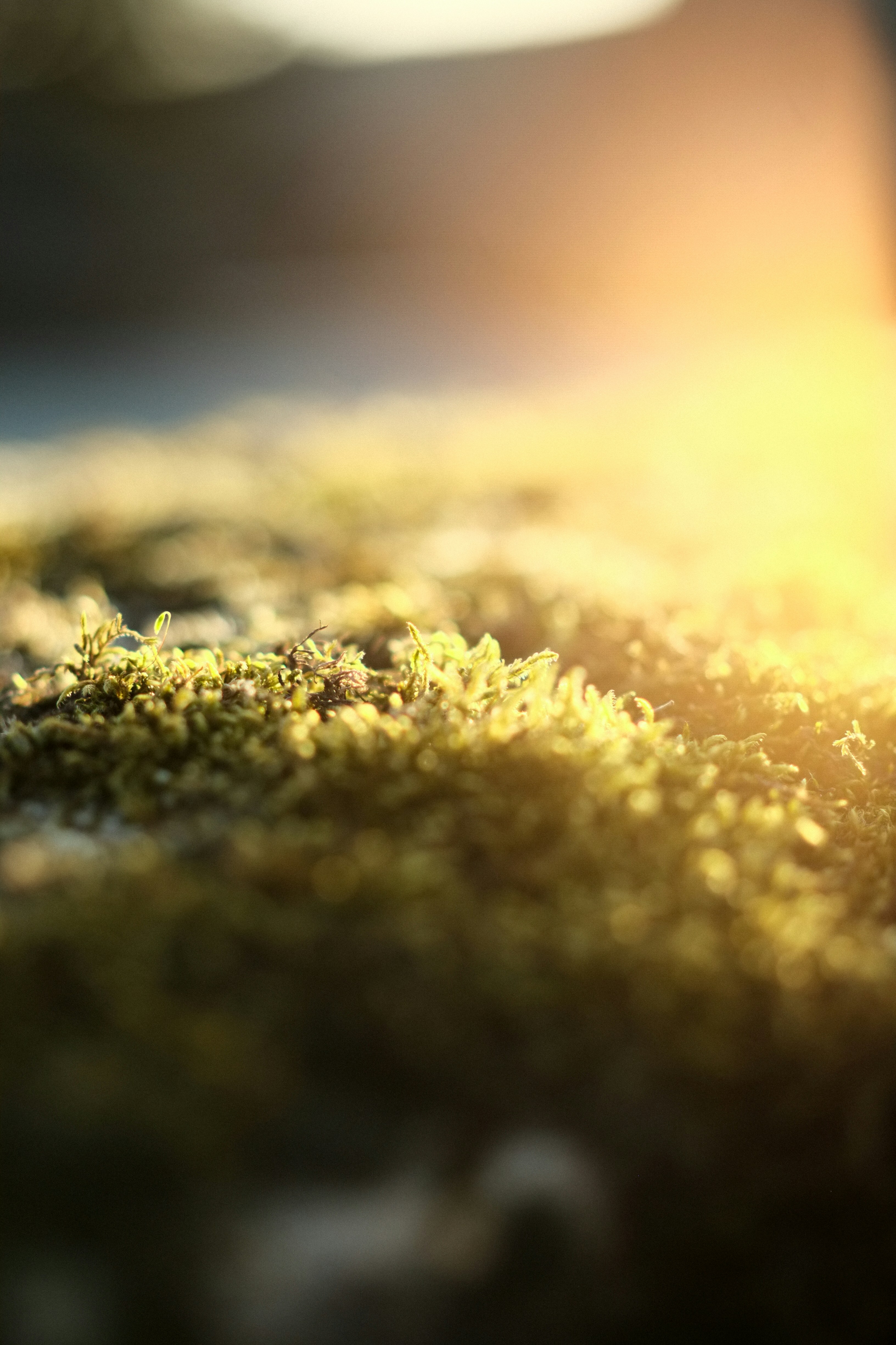 Photo by sebastian_niemann