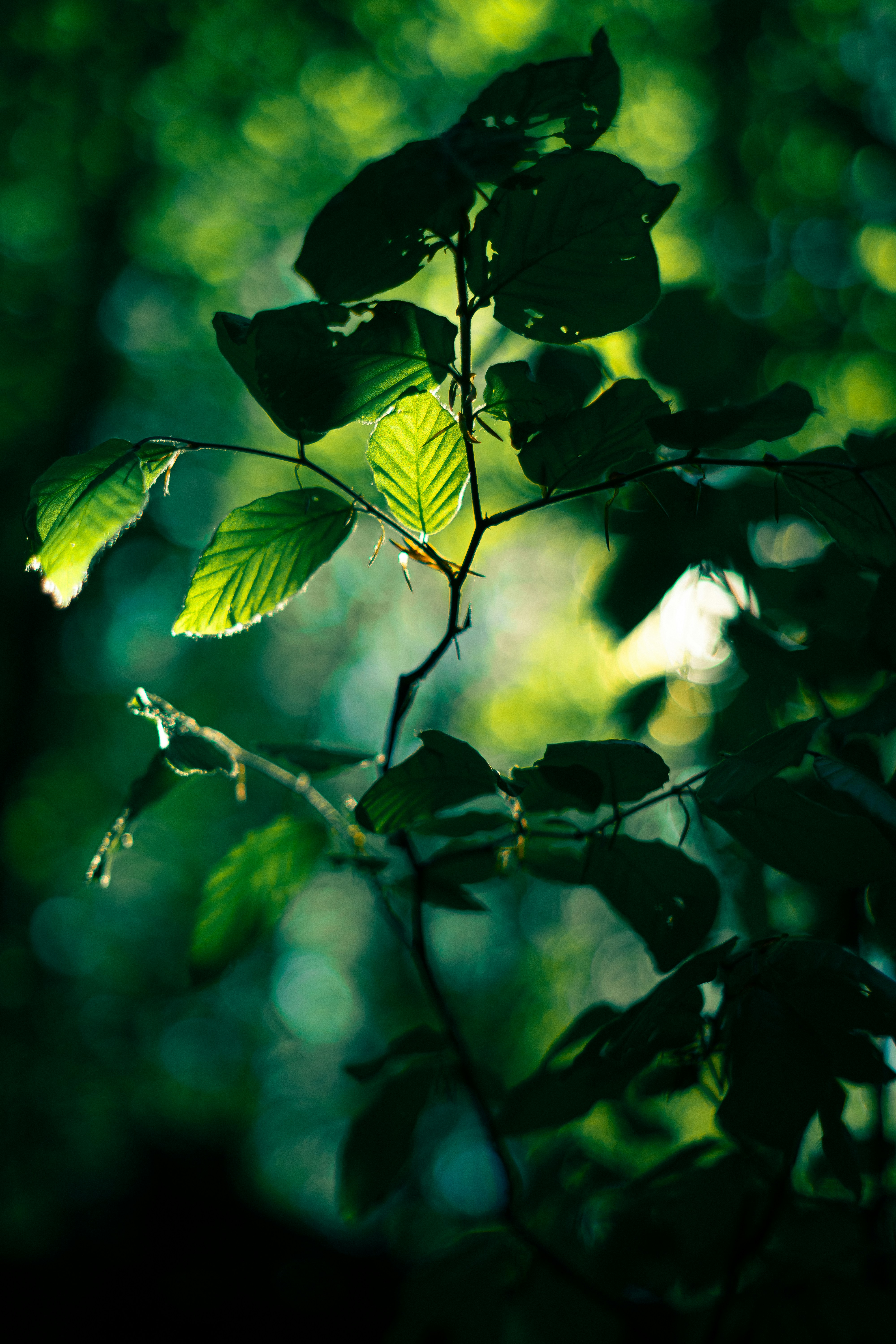 Photo by sebastian_niemann