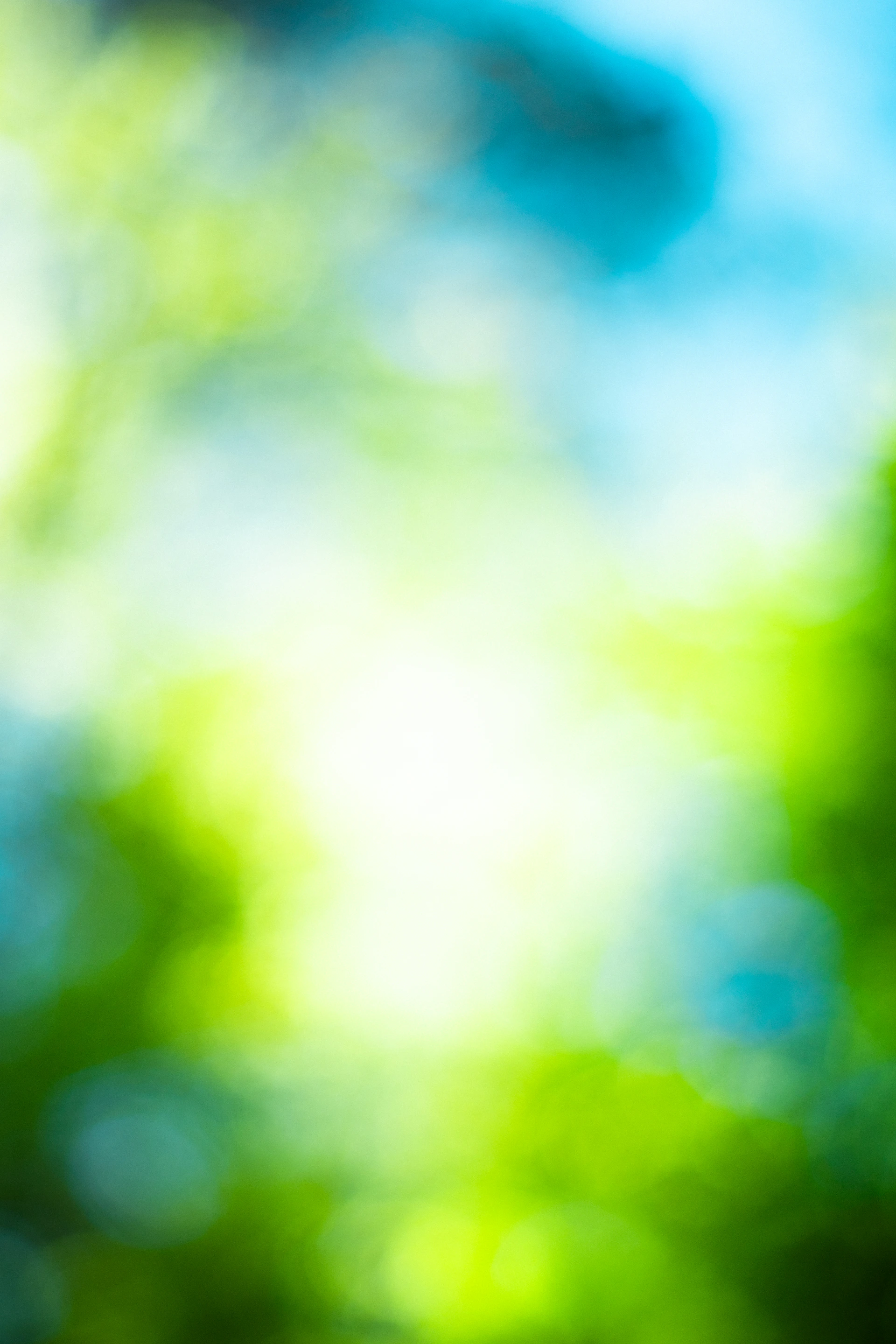 Blurred green and blue colors give a soft background.