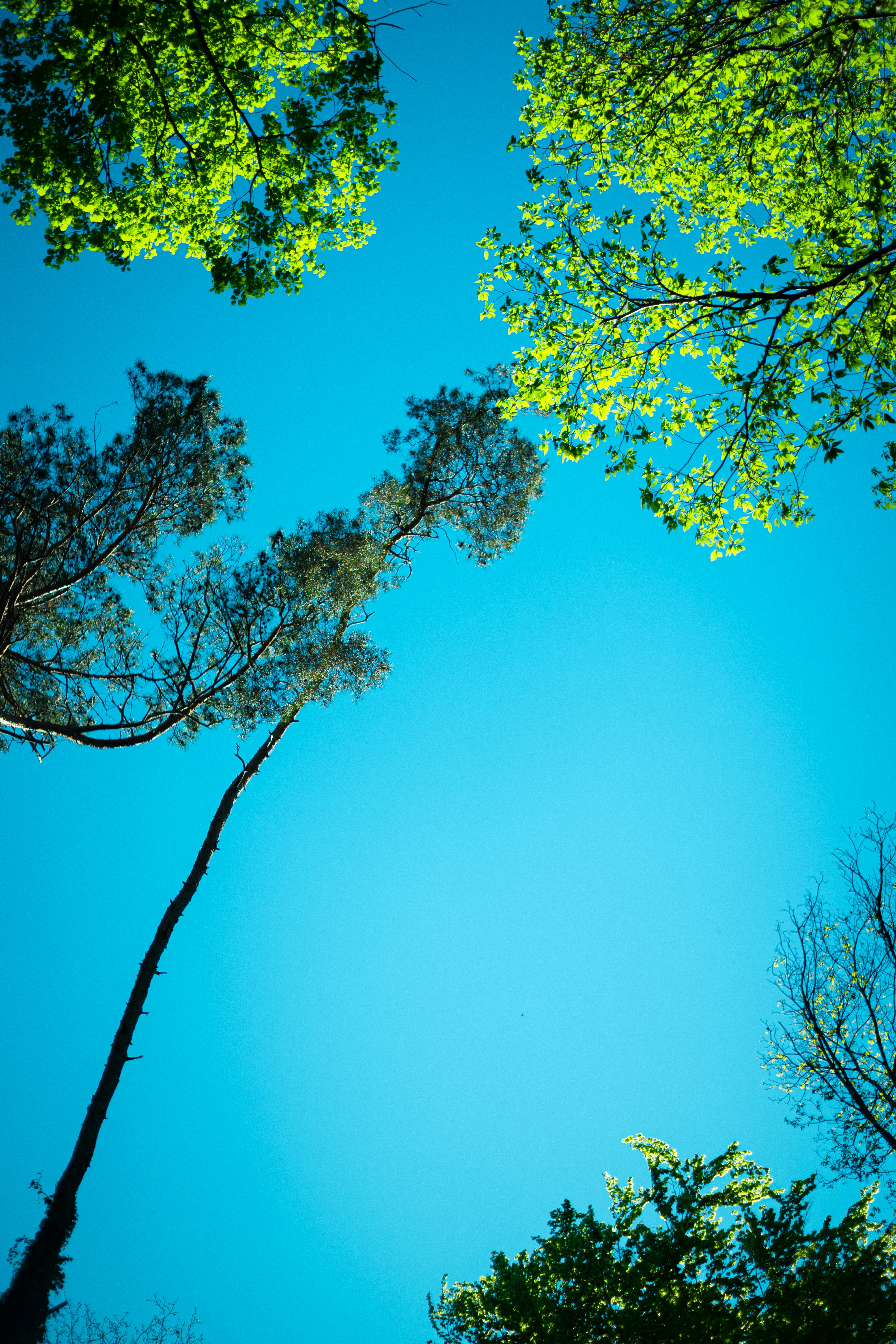 Photo by sebastian_niemann