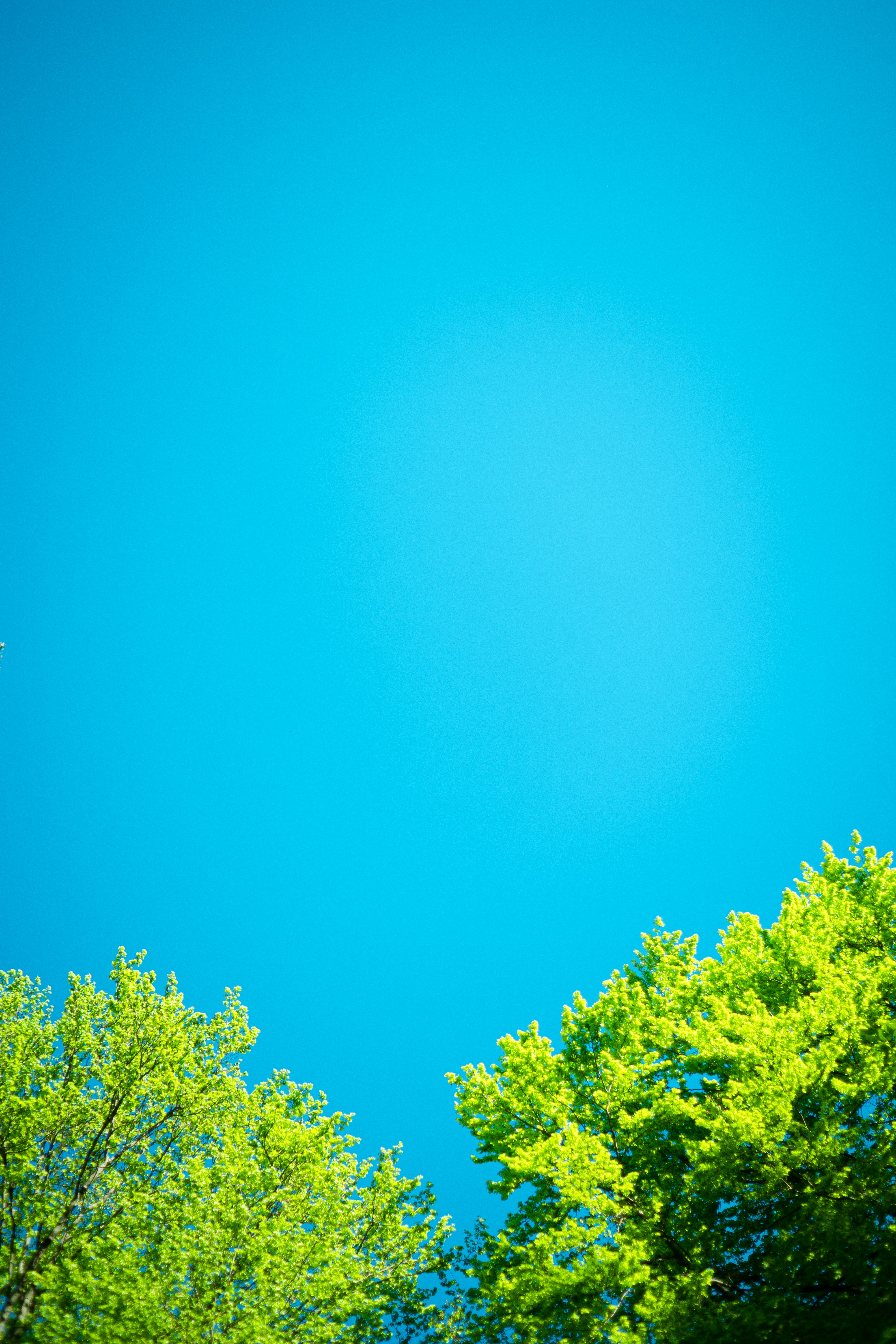 Photo by sebastian_niemann