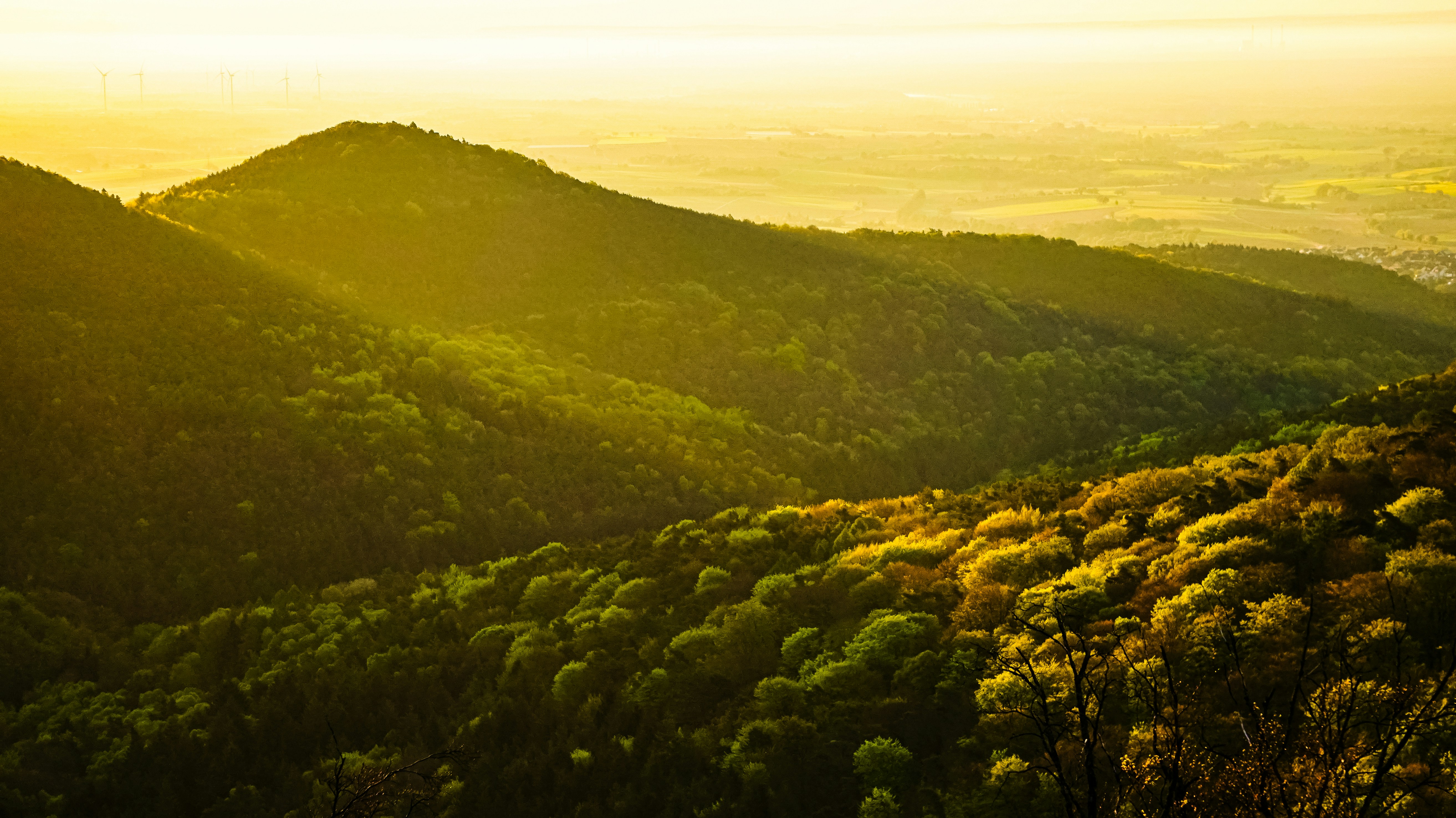 Photo by sebastian_niemann