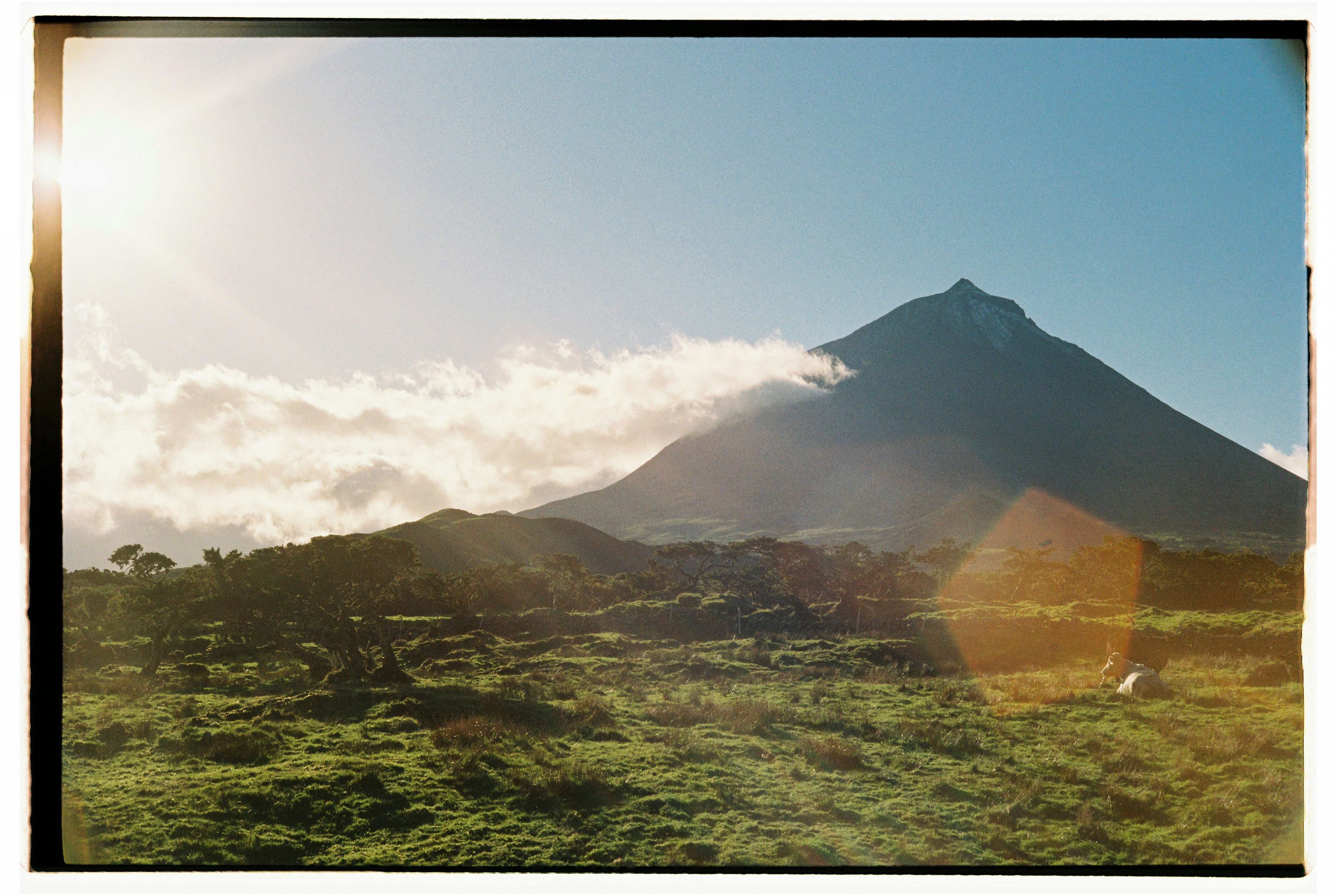 Photo by diogo_ferrer