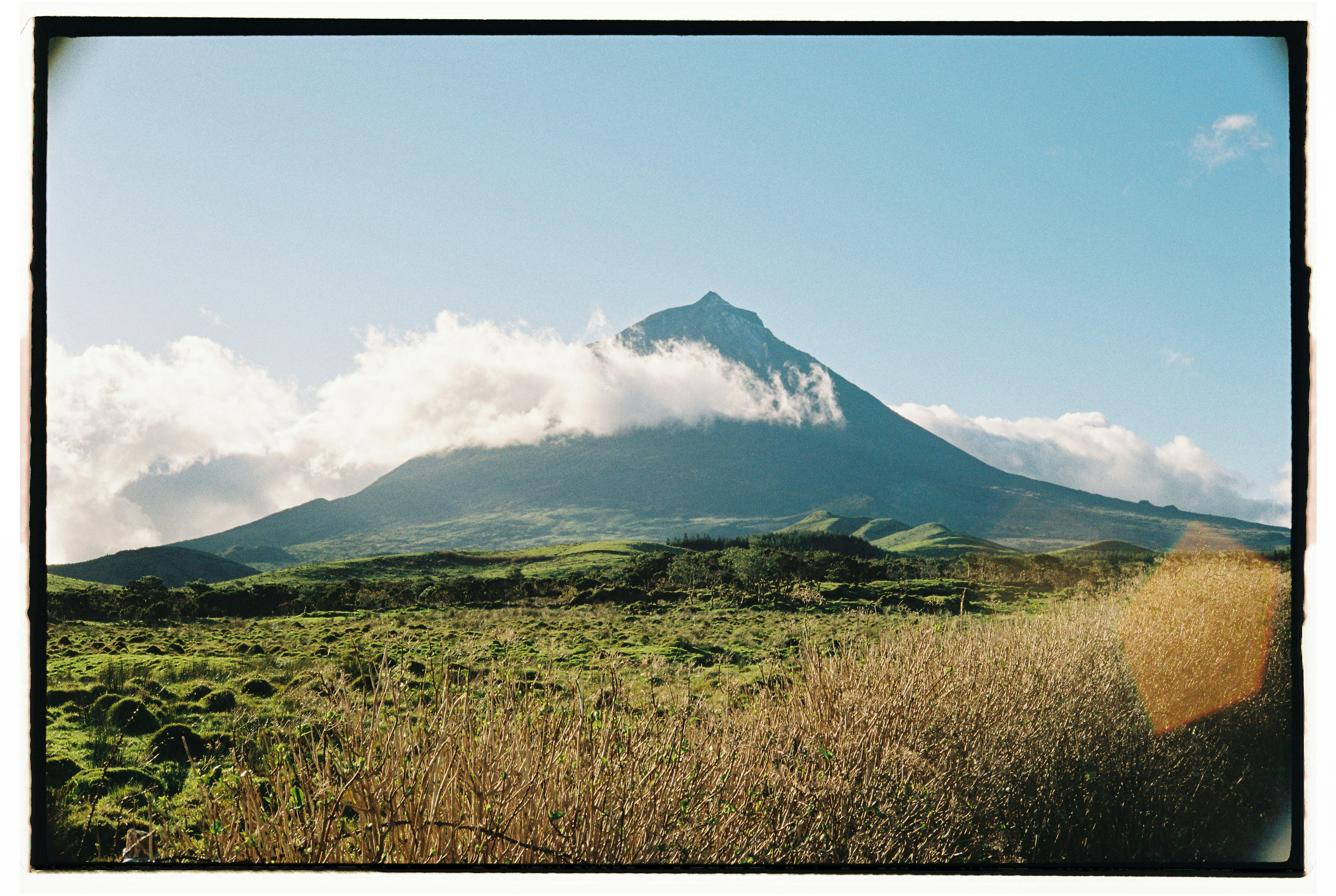 Photo by diogo_ferrer