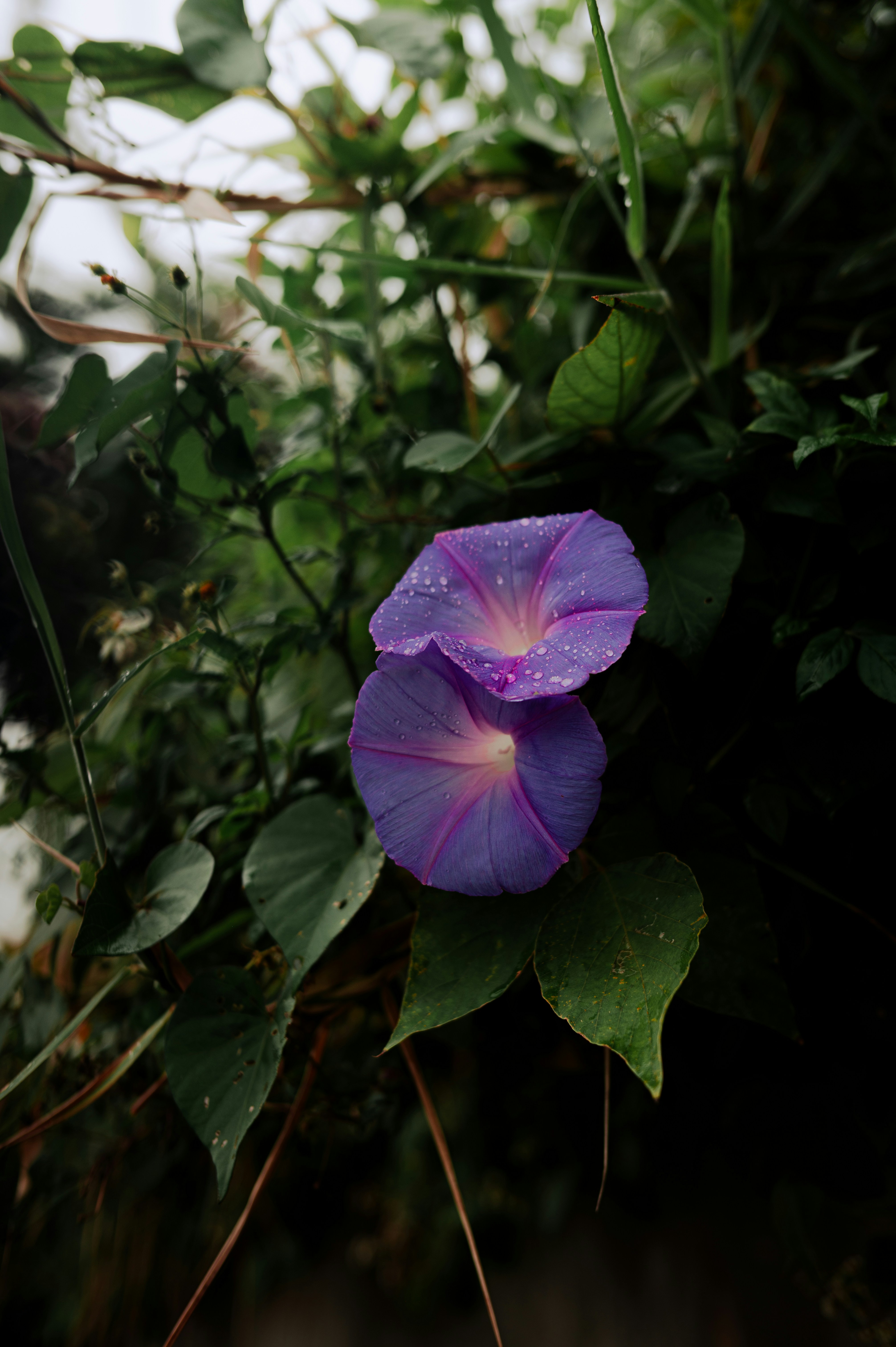 Photo by ryunosuke_kikuno