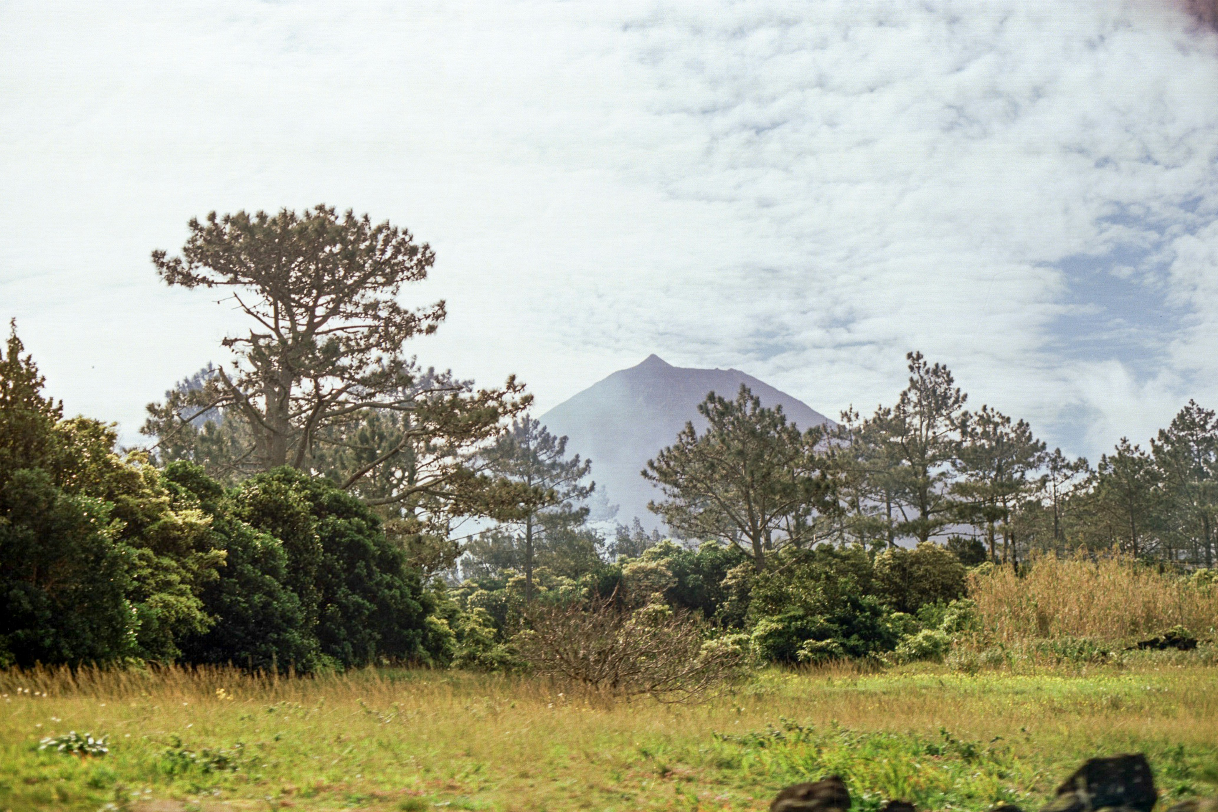 Photo by diogo_ferrer