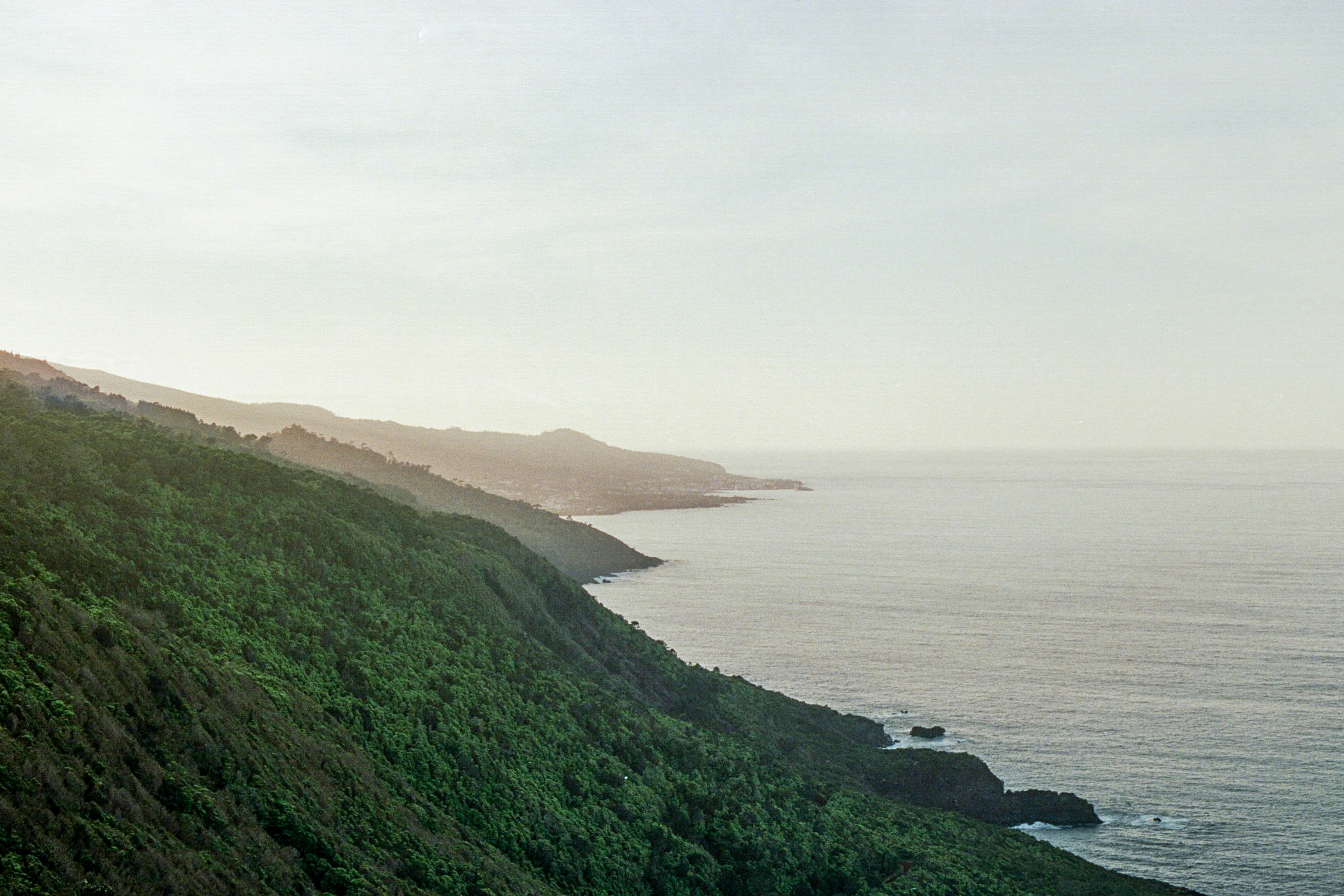 Photo by diogo_ferrer