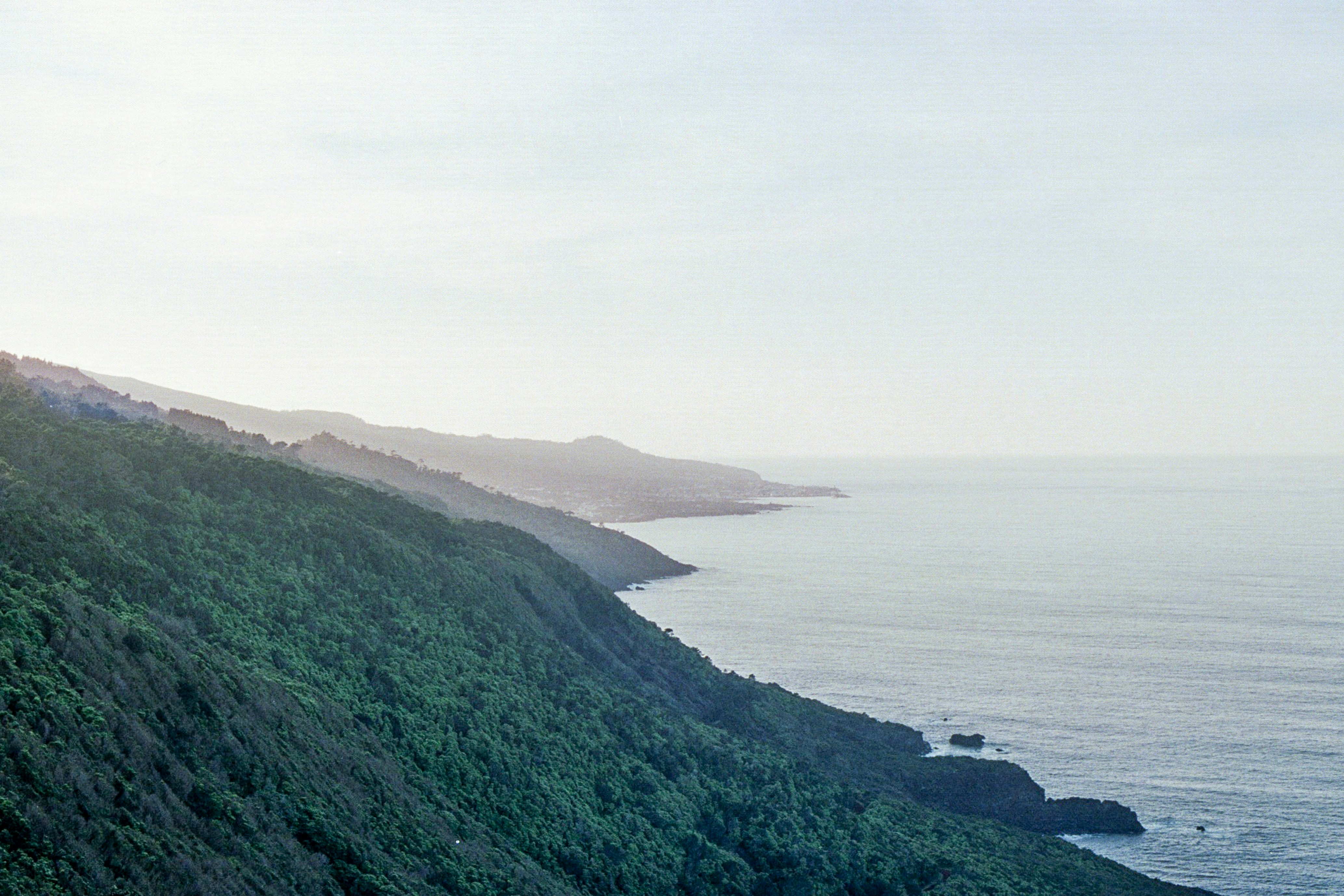 Photo by diogo_ferrer