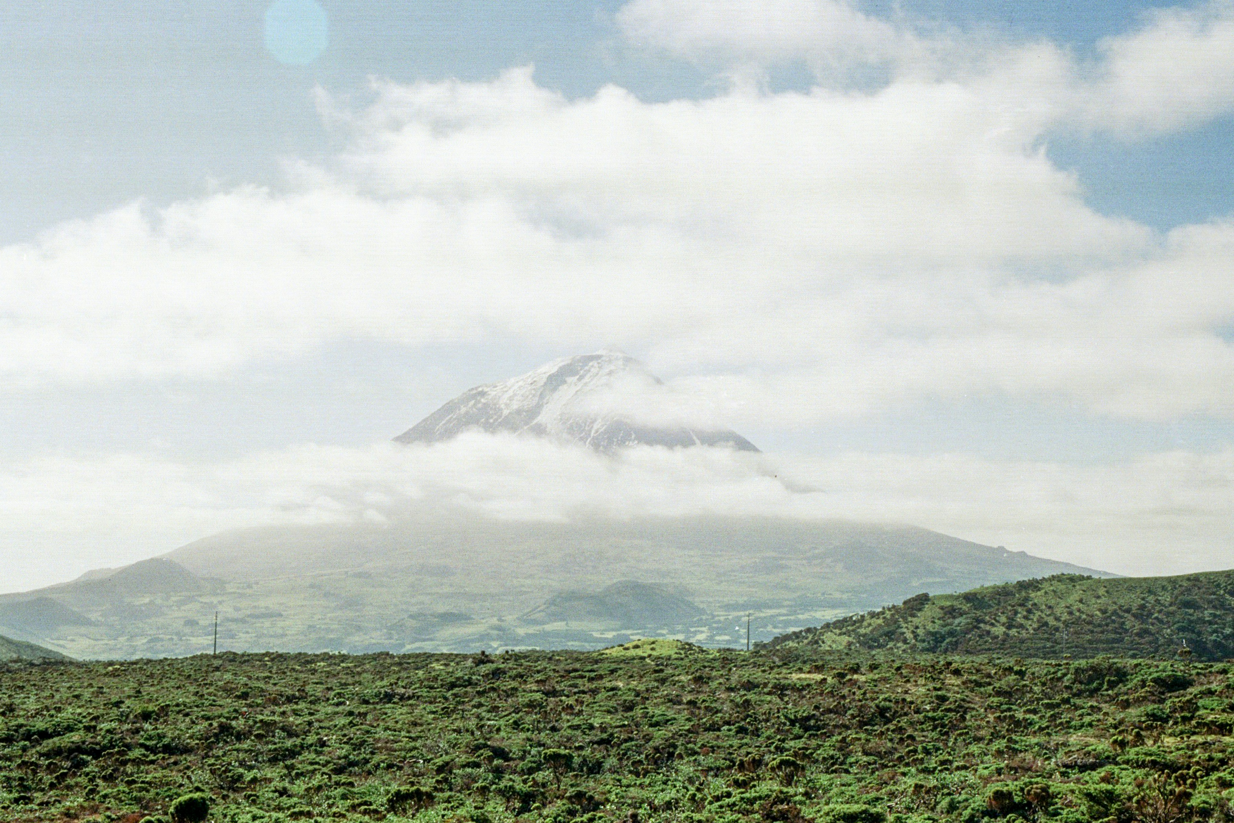 Photo by diogo_ferrer