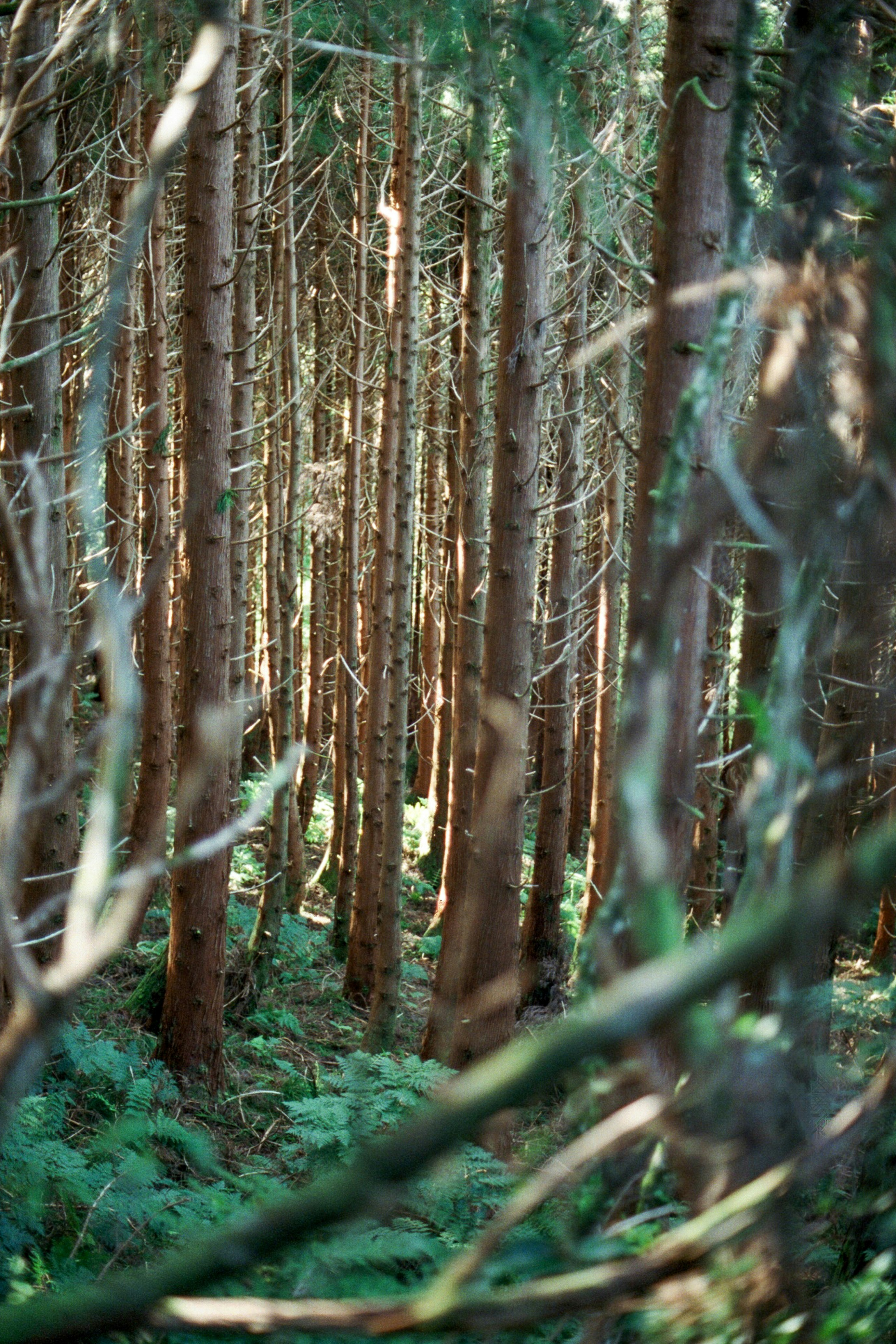 Photo by diogo_ferrer