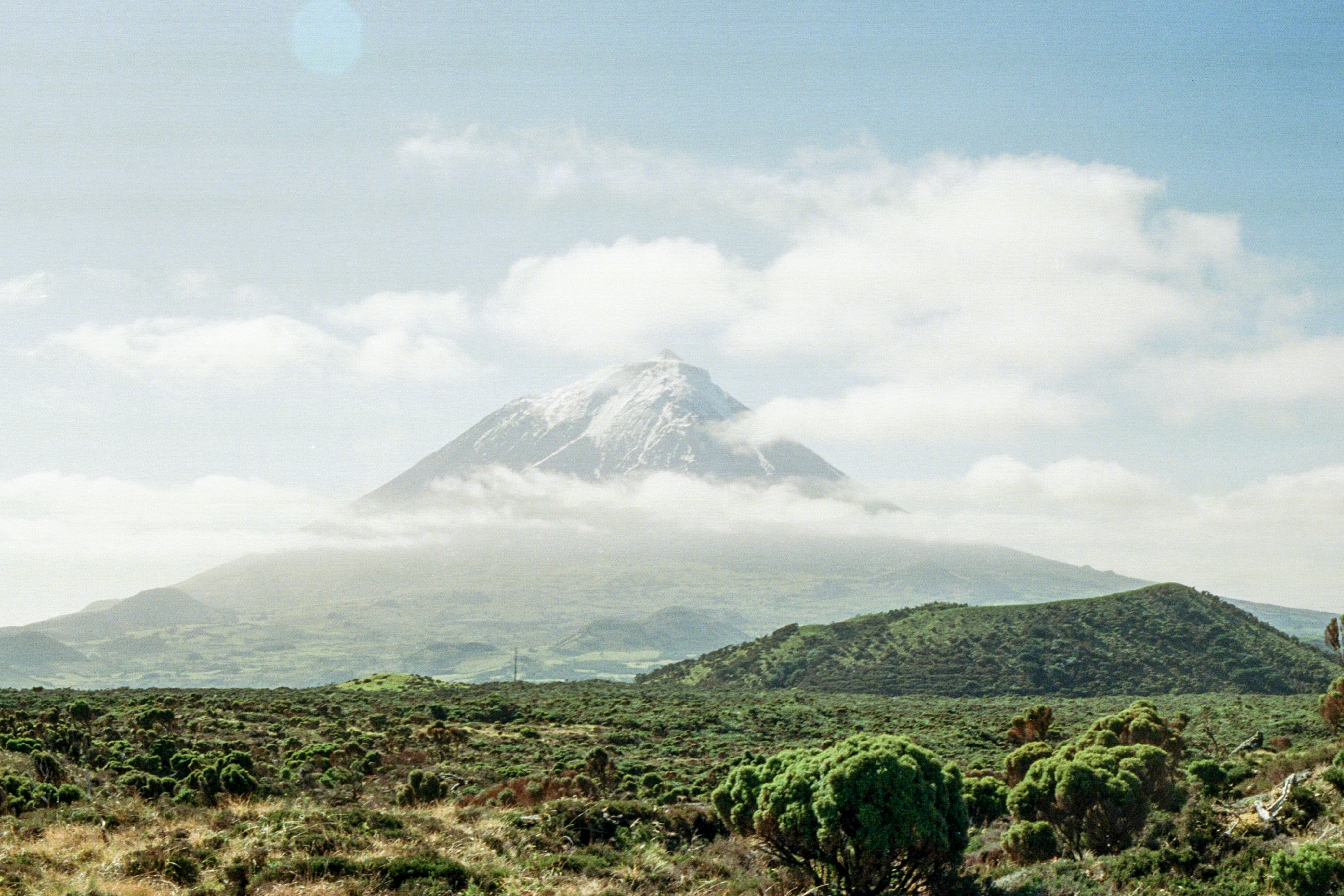 Photo by diogo_ferrer