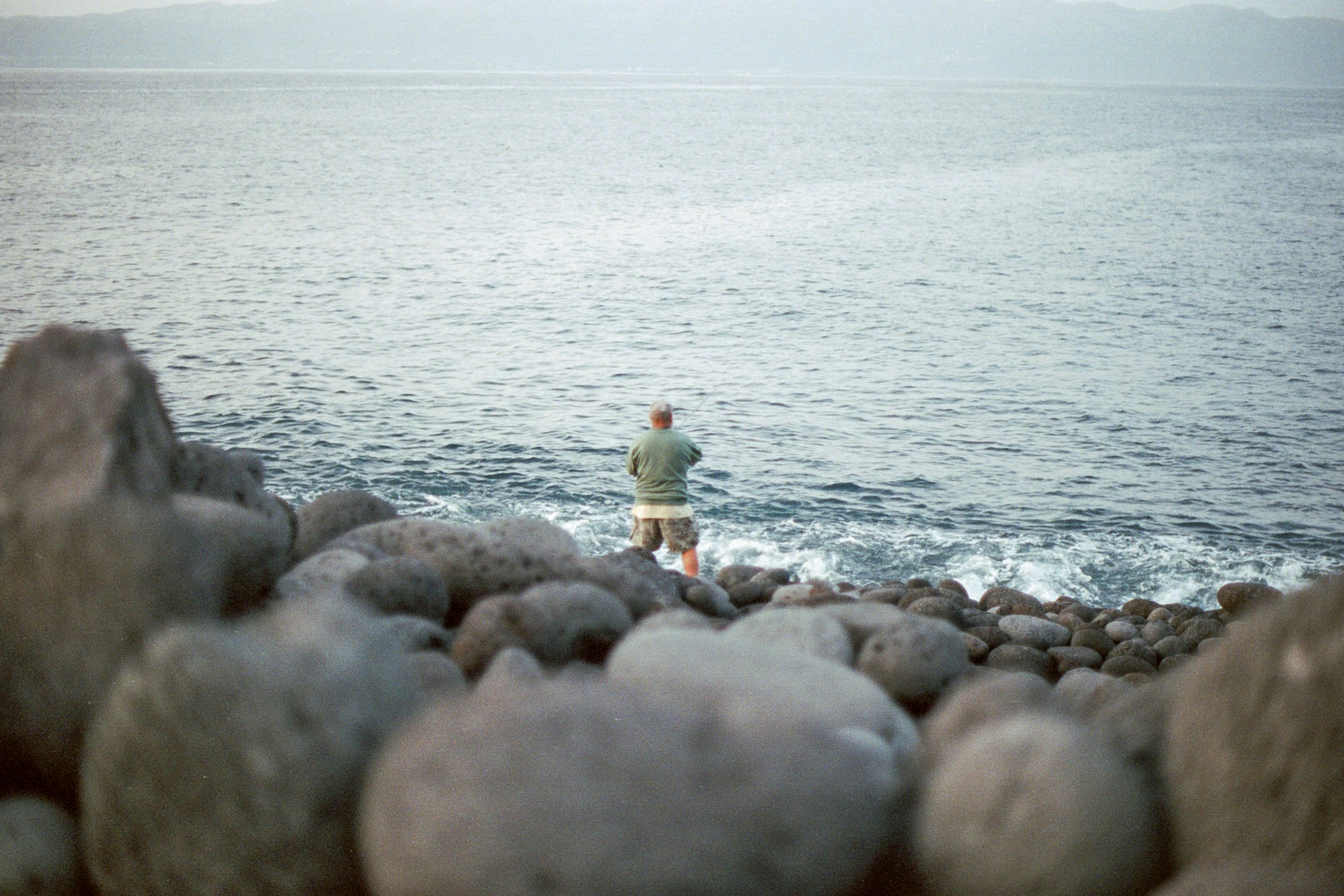 Photo by diogo_ferrer