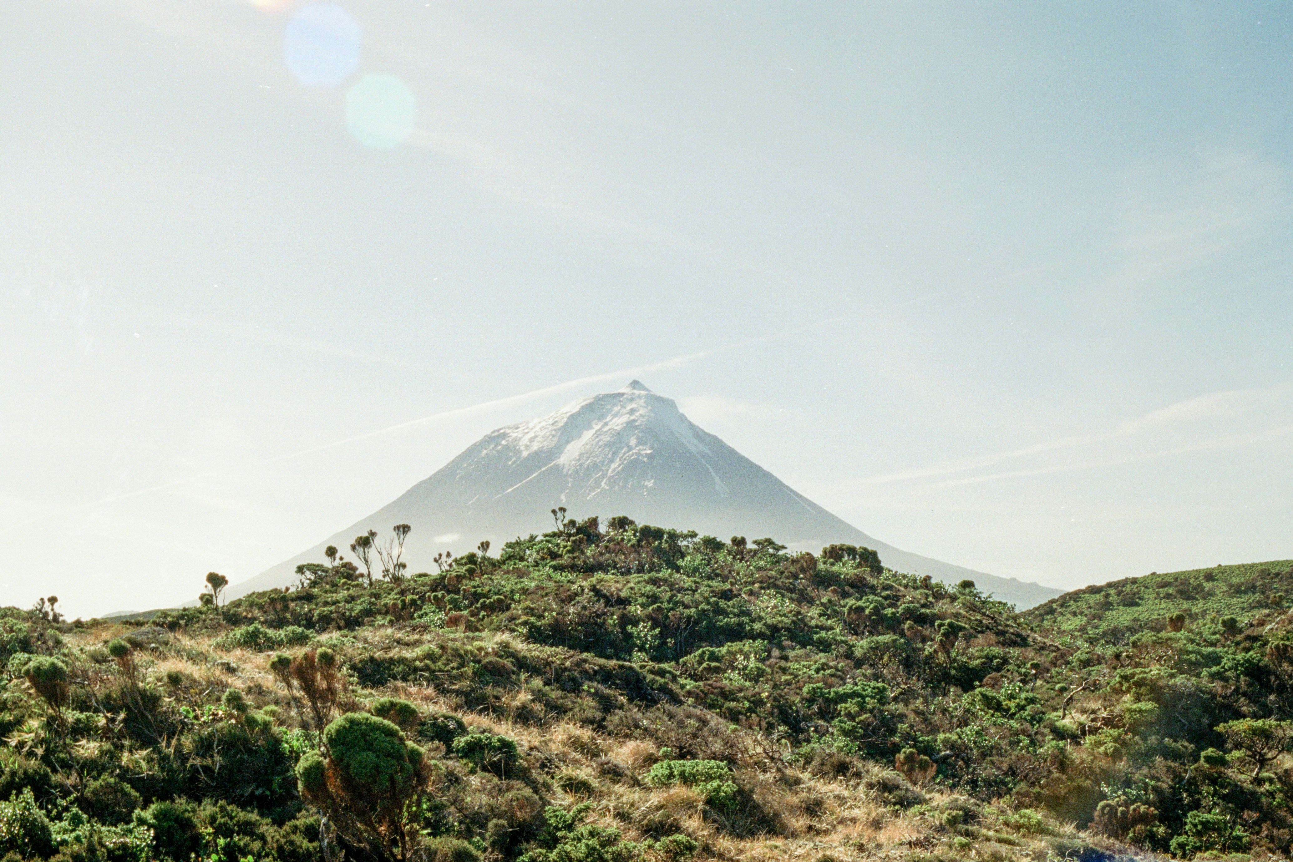 Photo by diogo_ferrer