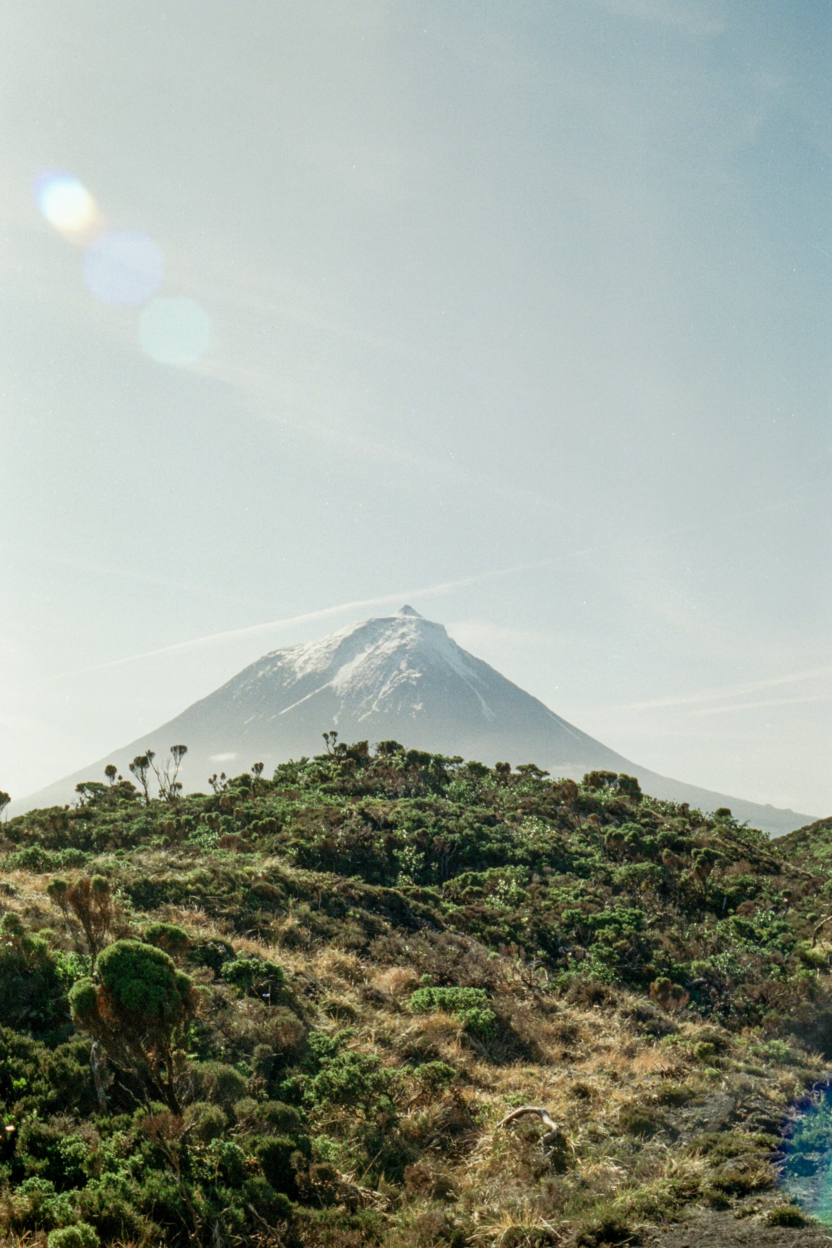 Photo by diogo_ferrer