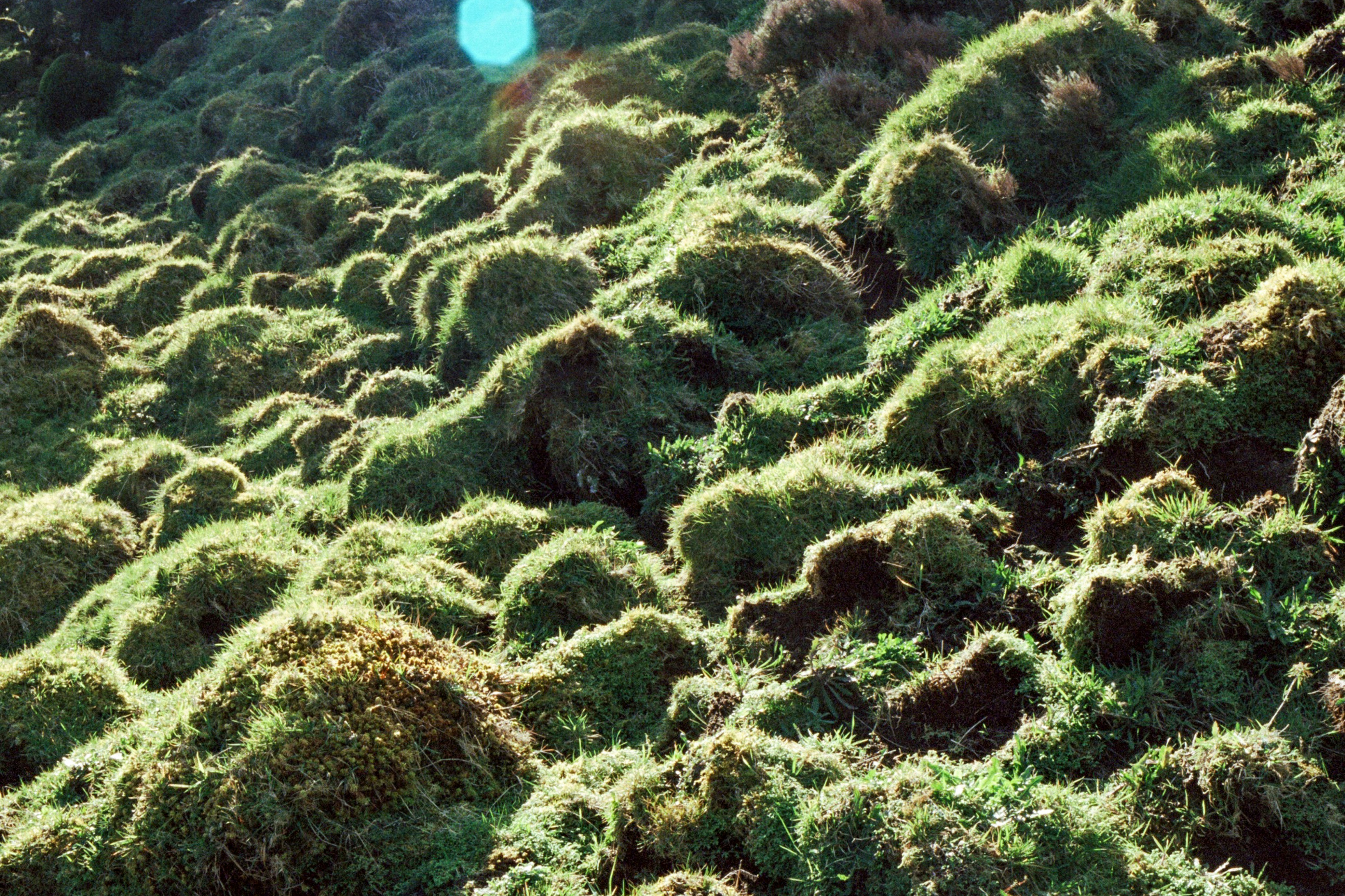 Photo by diogo_ferrer