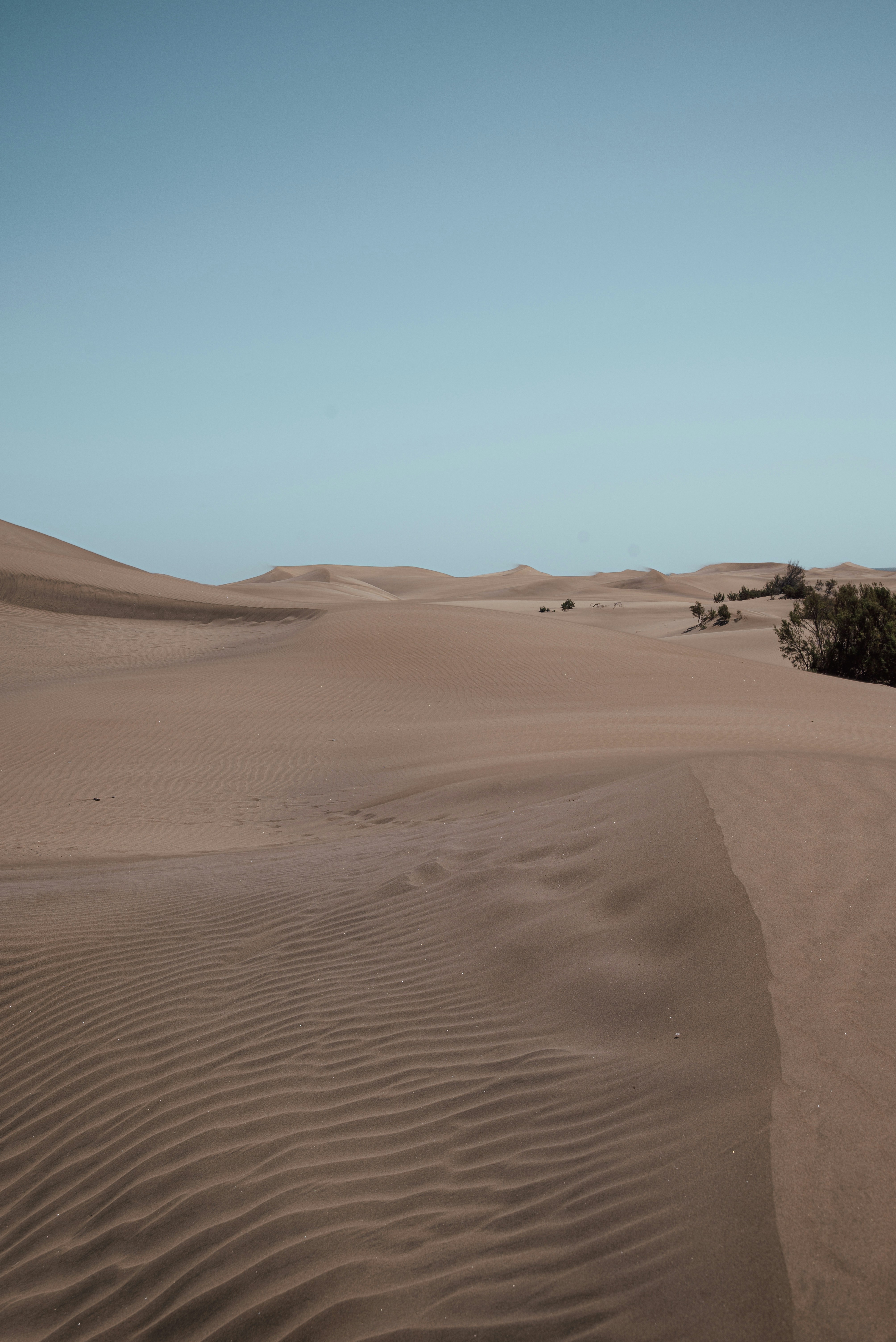 Photo by agataciosek