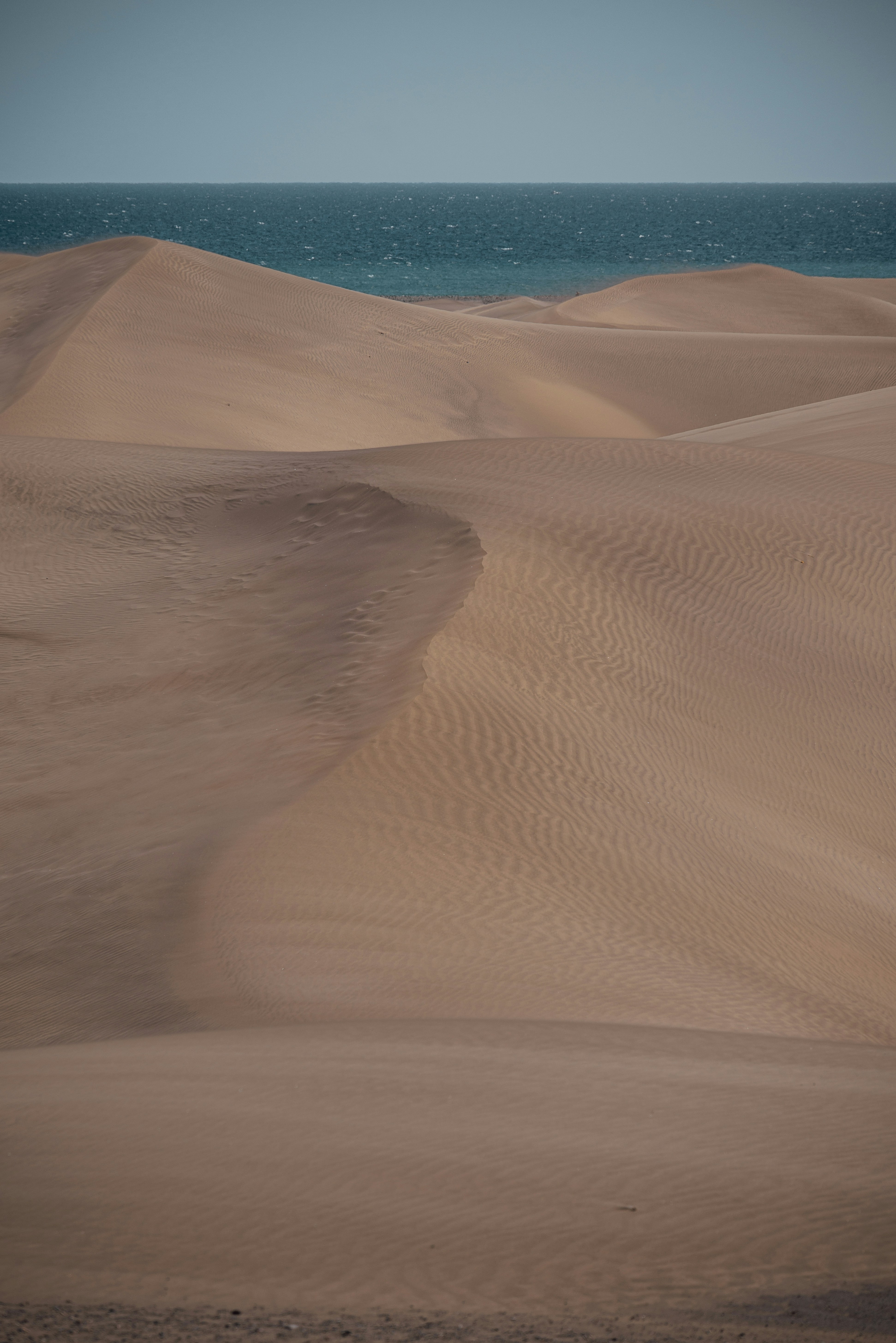 Photo by agataciosek