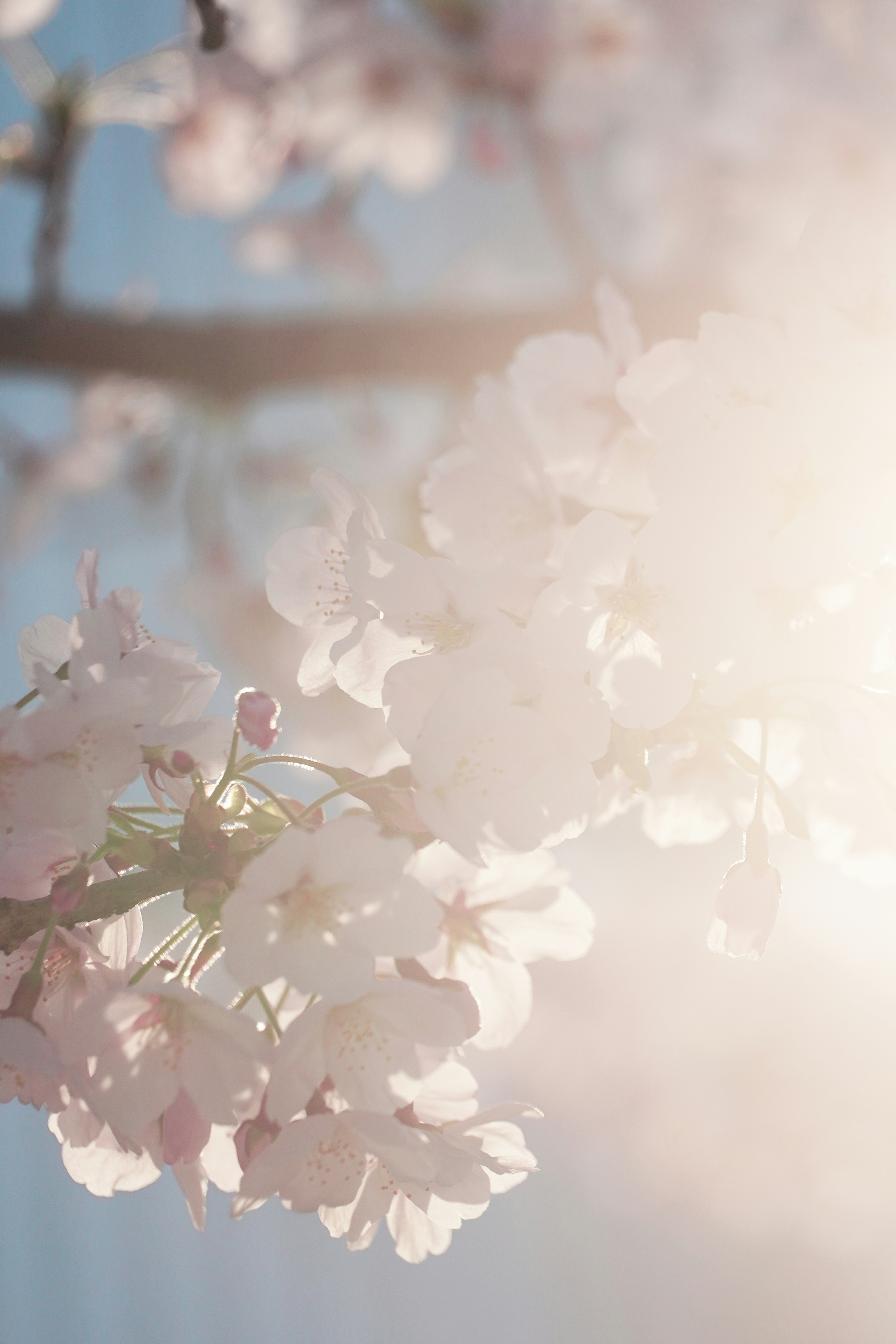 Photo by lifeinkorea