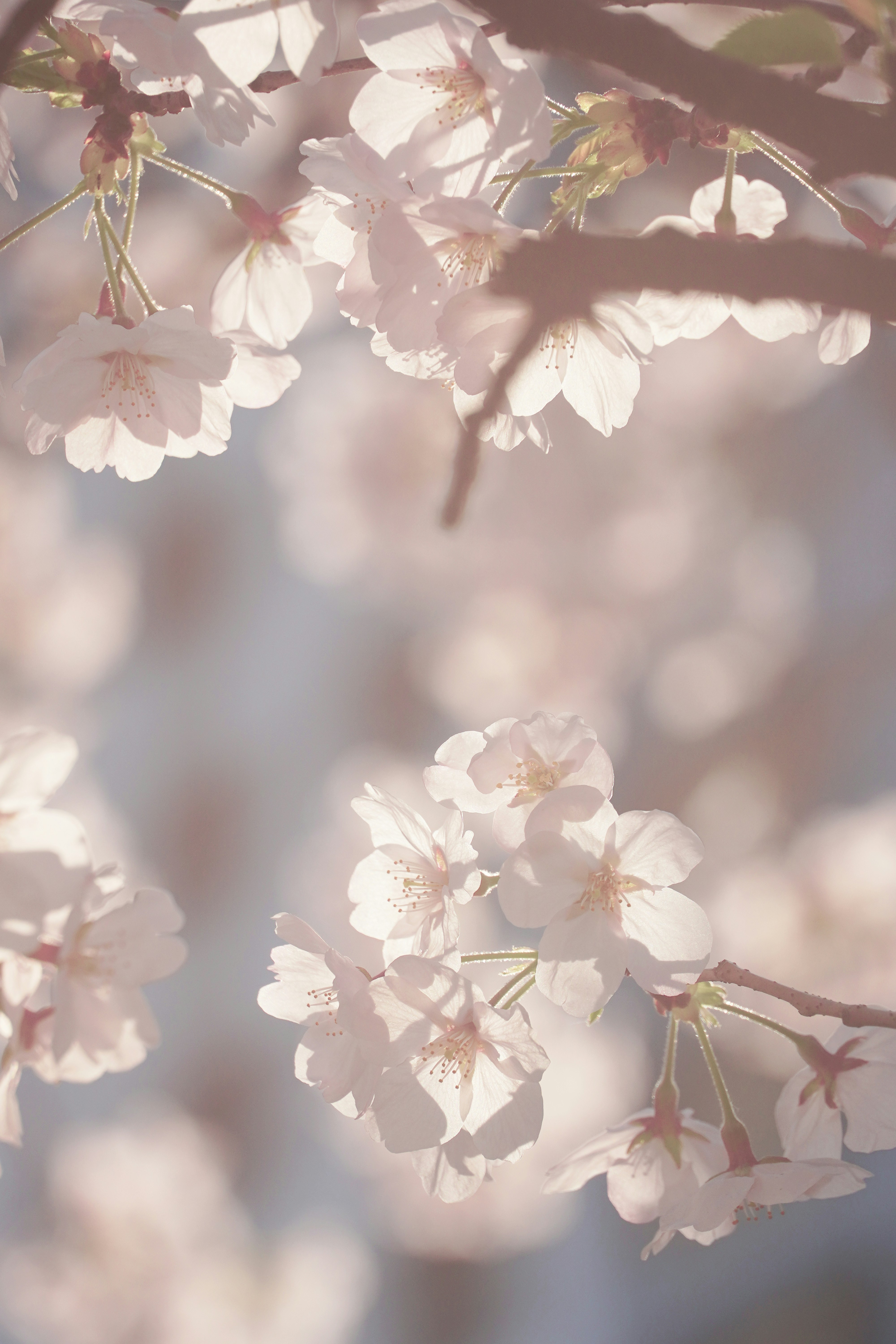 Photo by lifeinkorea