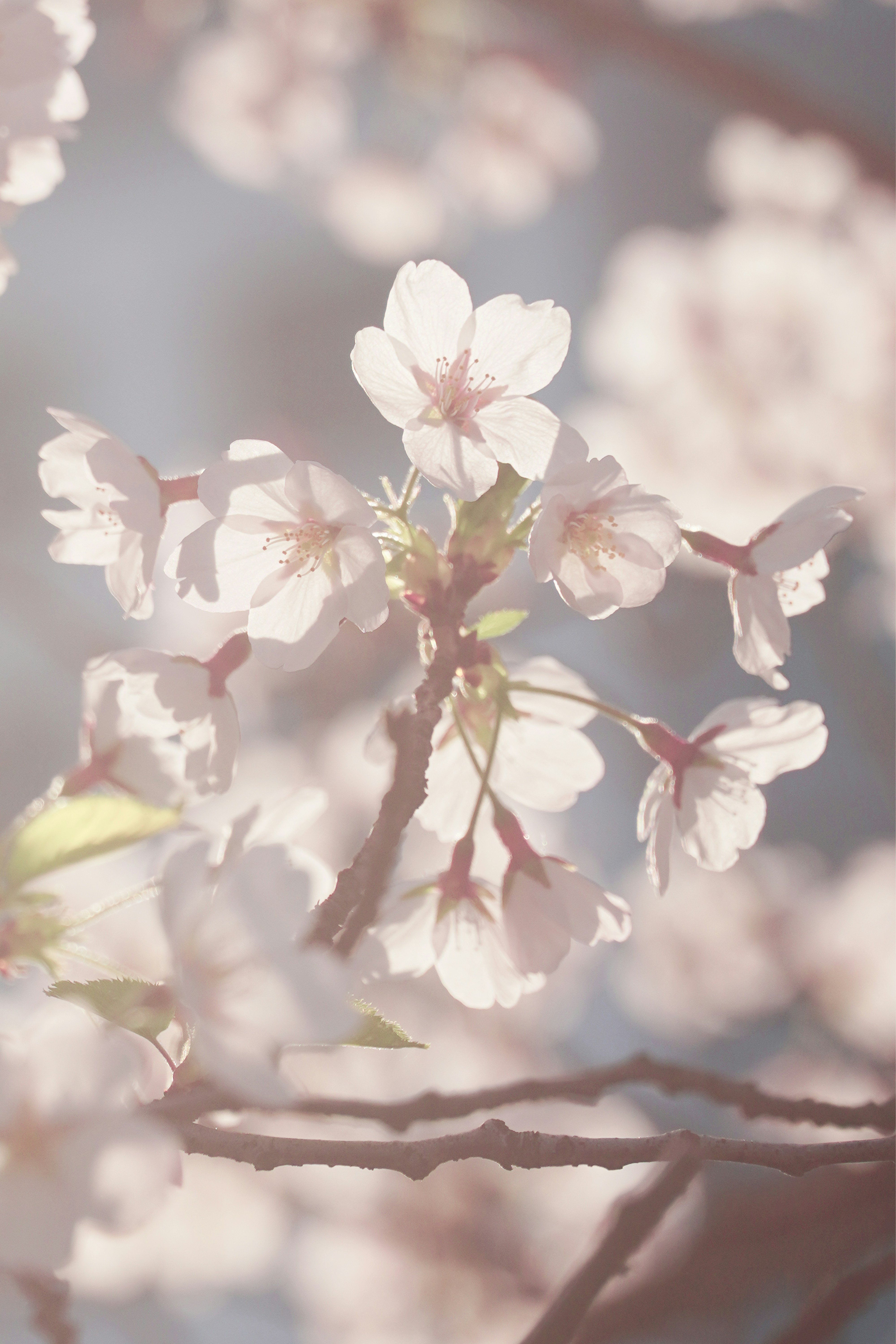 Photo by lifeinkorea