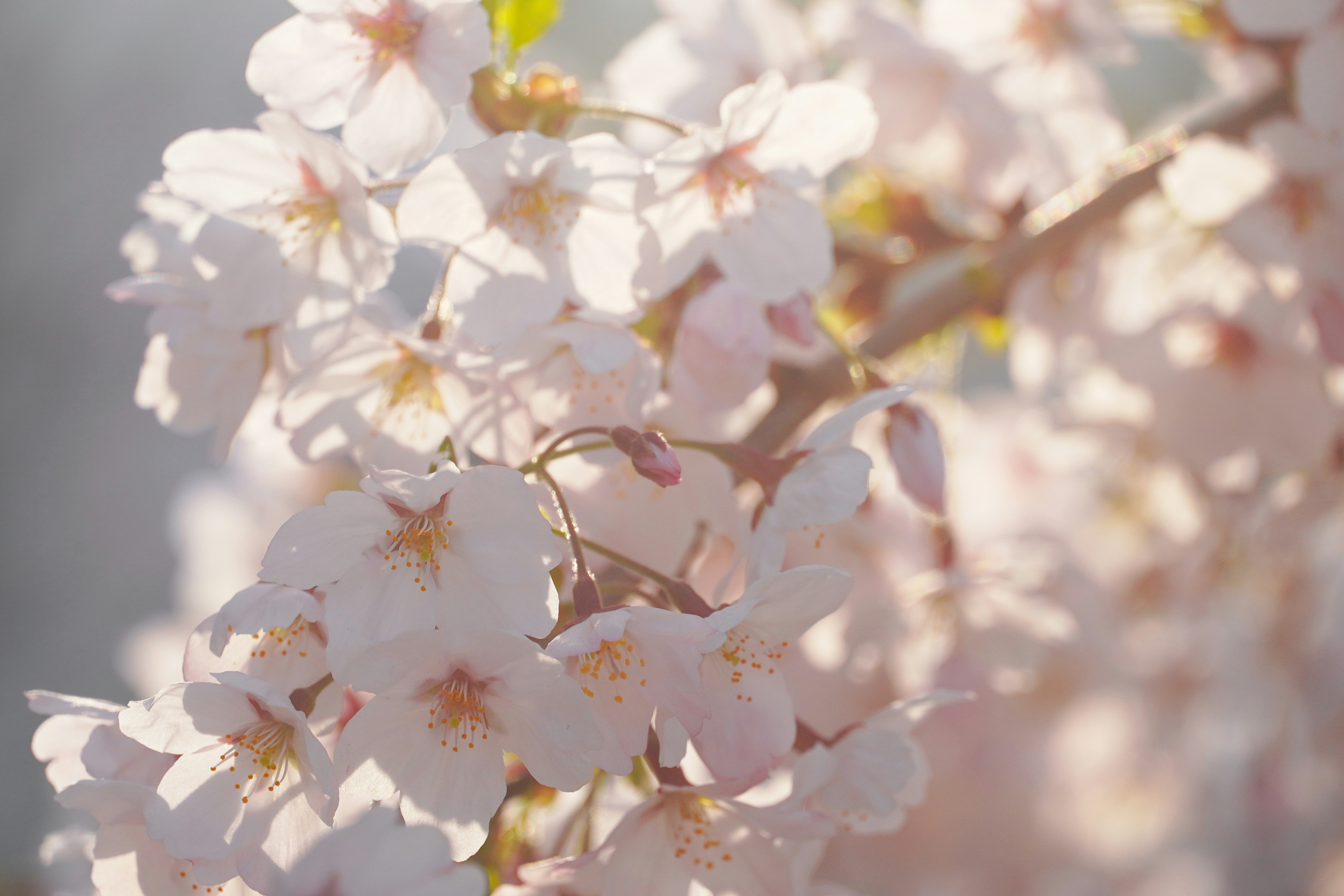 Photo by lifeinkorea