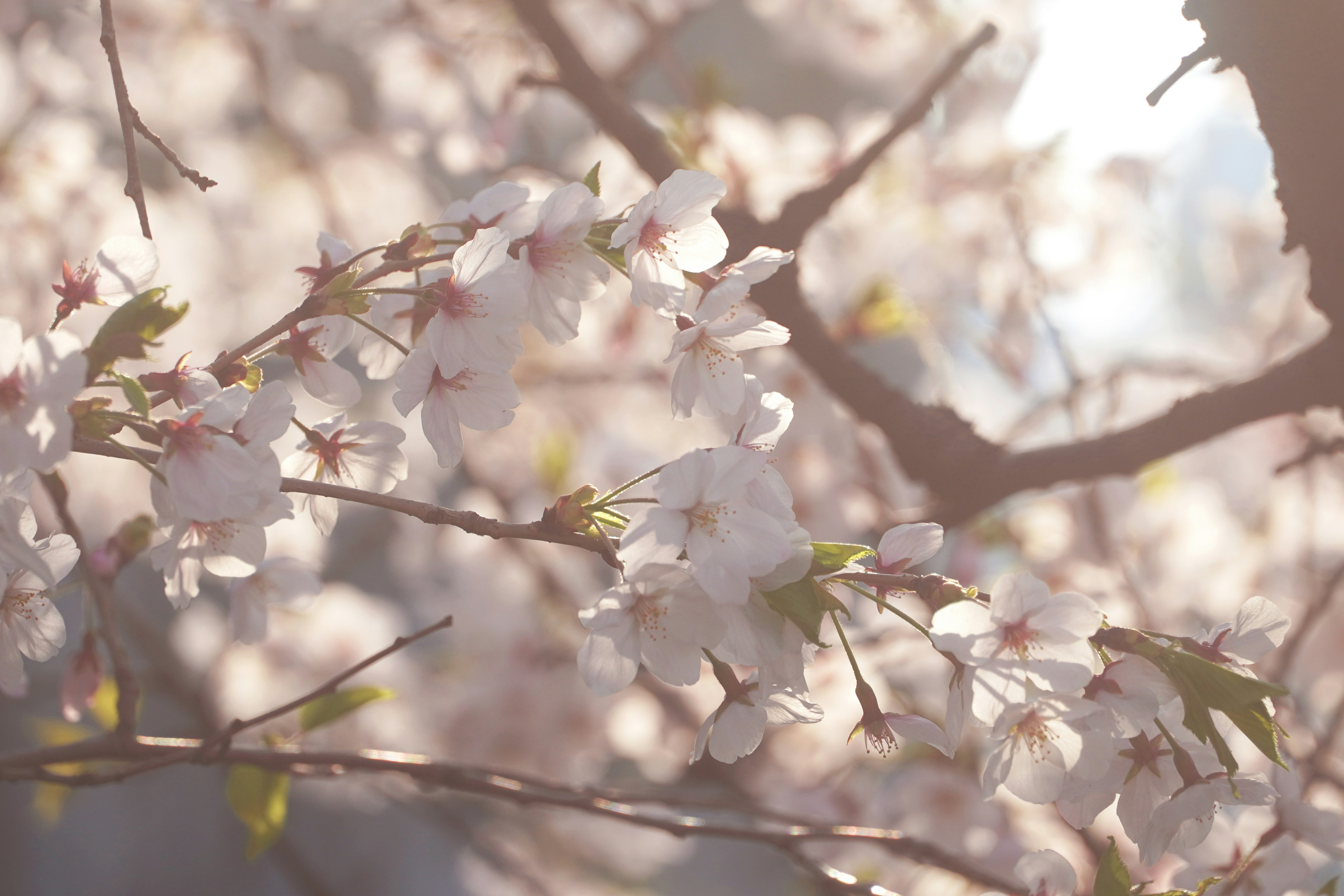 Photo by lifeinkorea