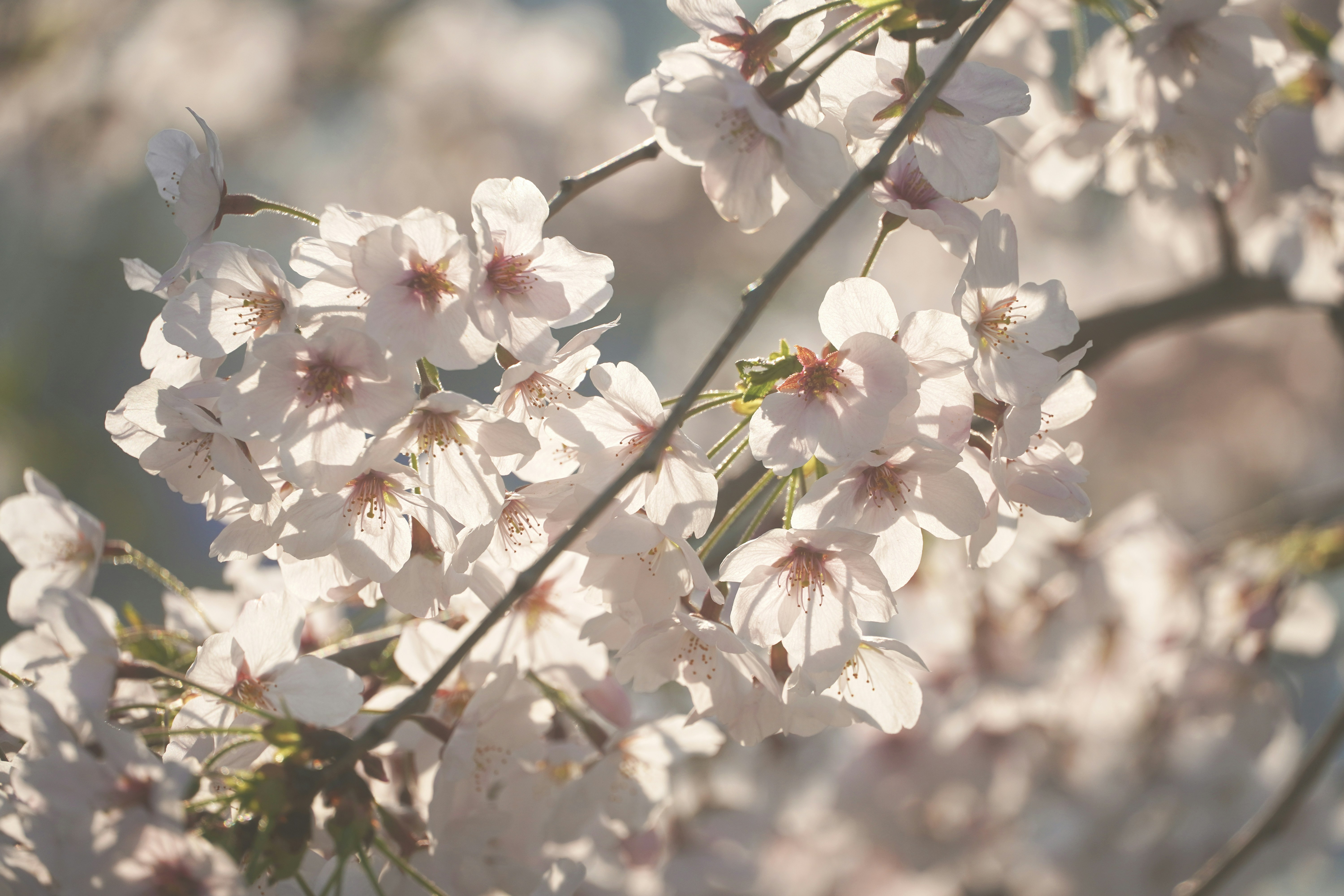 Photo by lifeinkorea