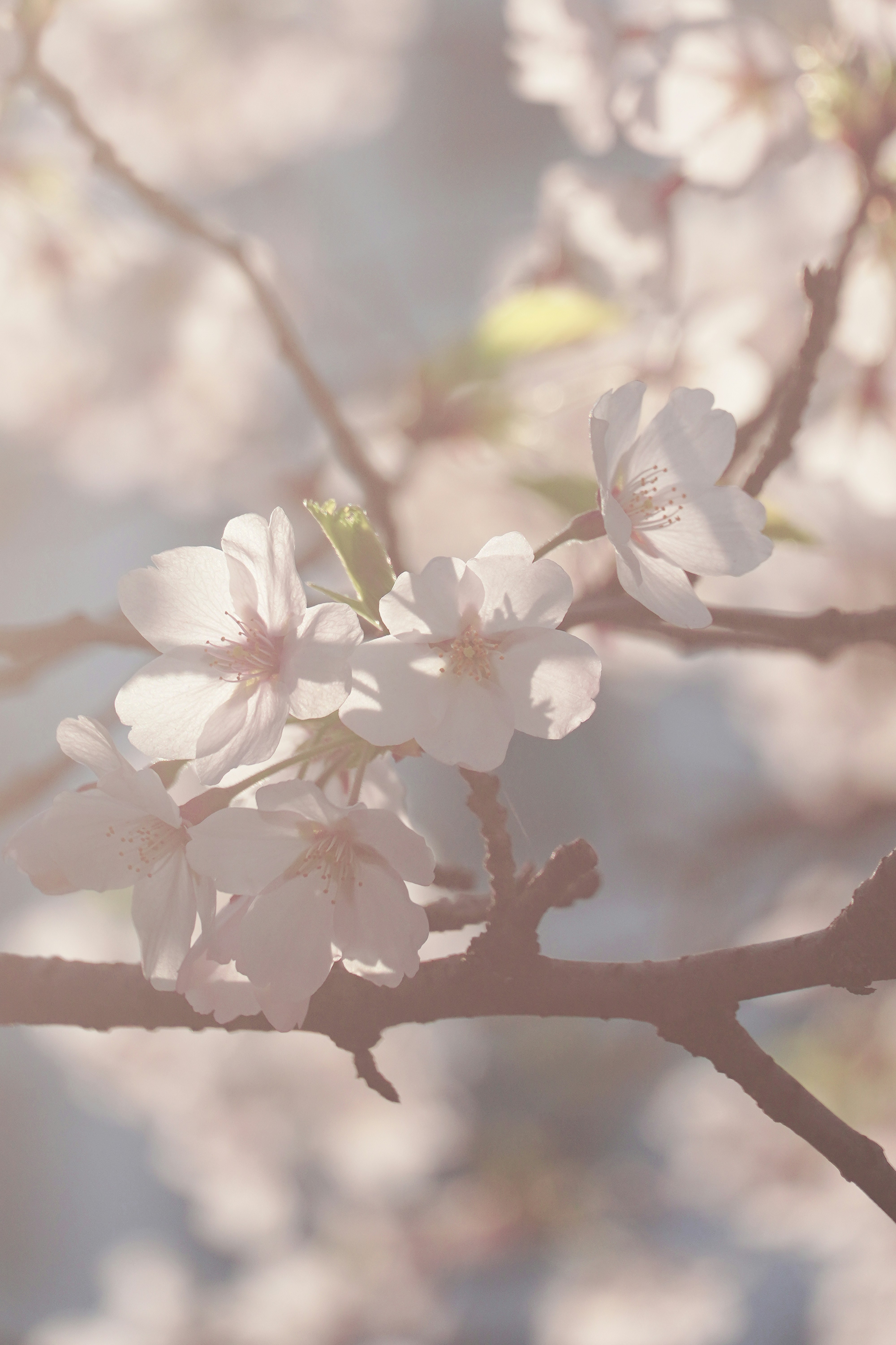 Photo by lifeinkorea