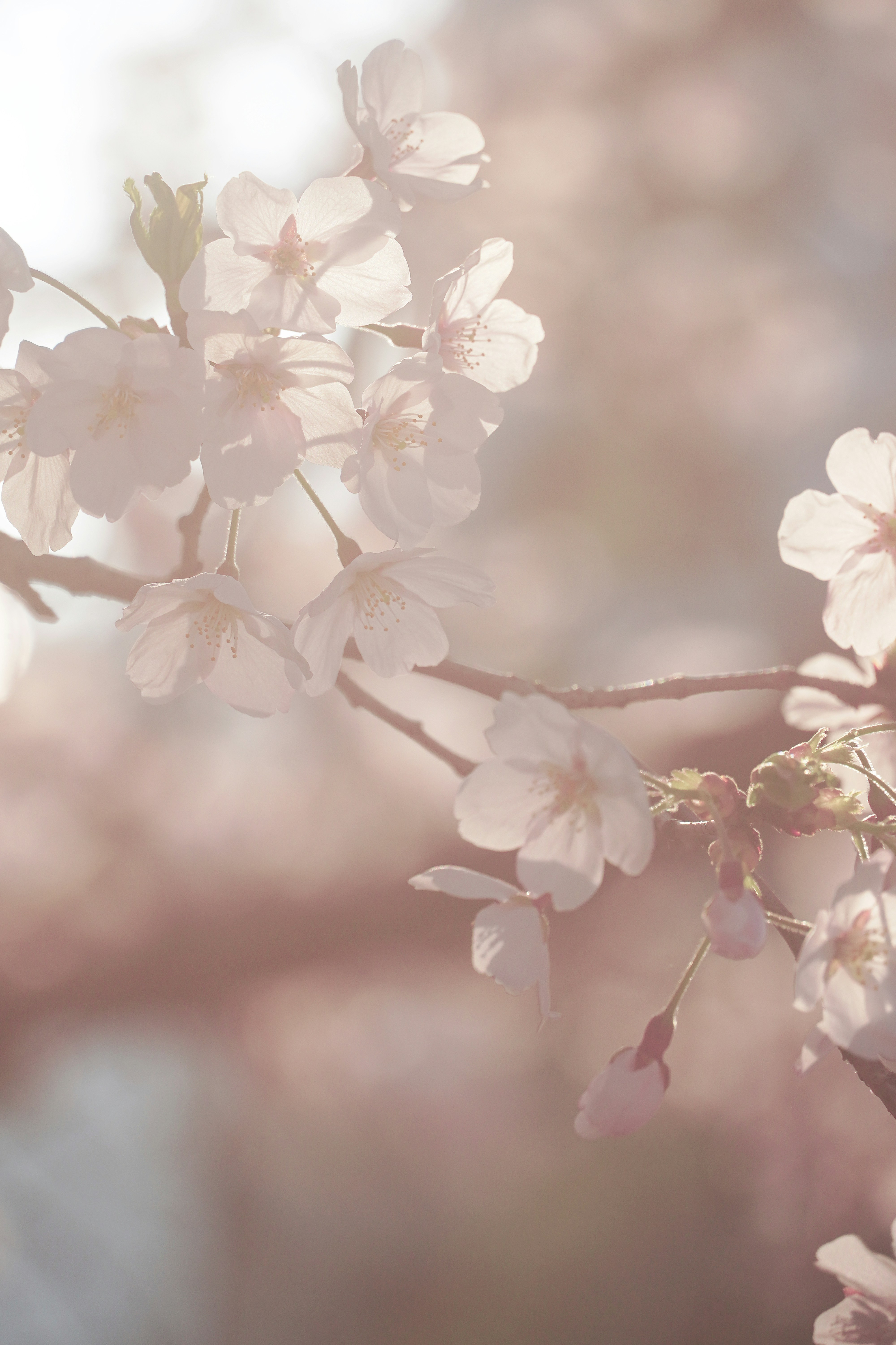 Photo by lifeinkorea