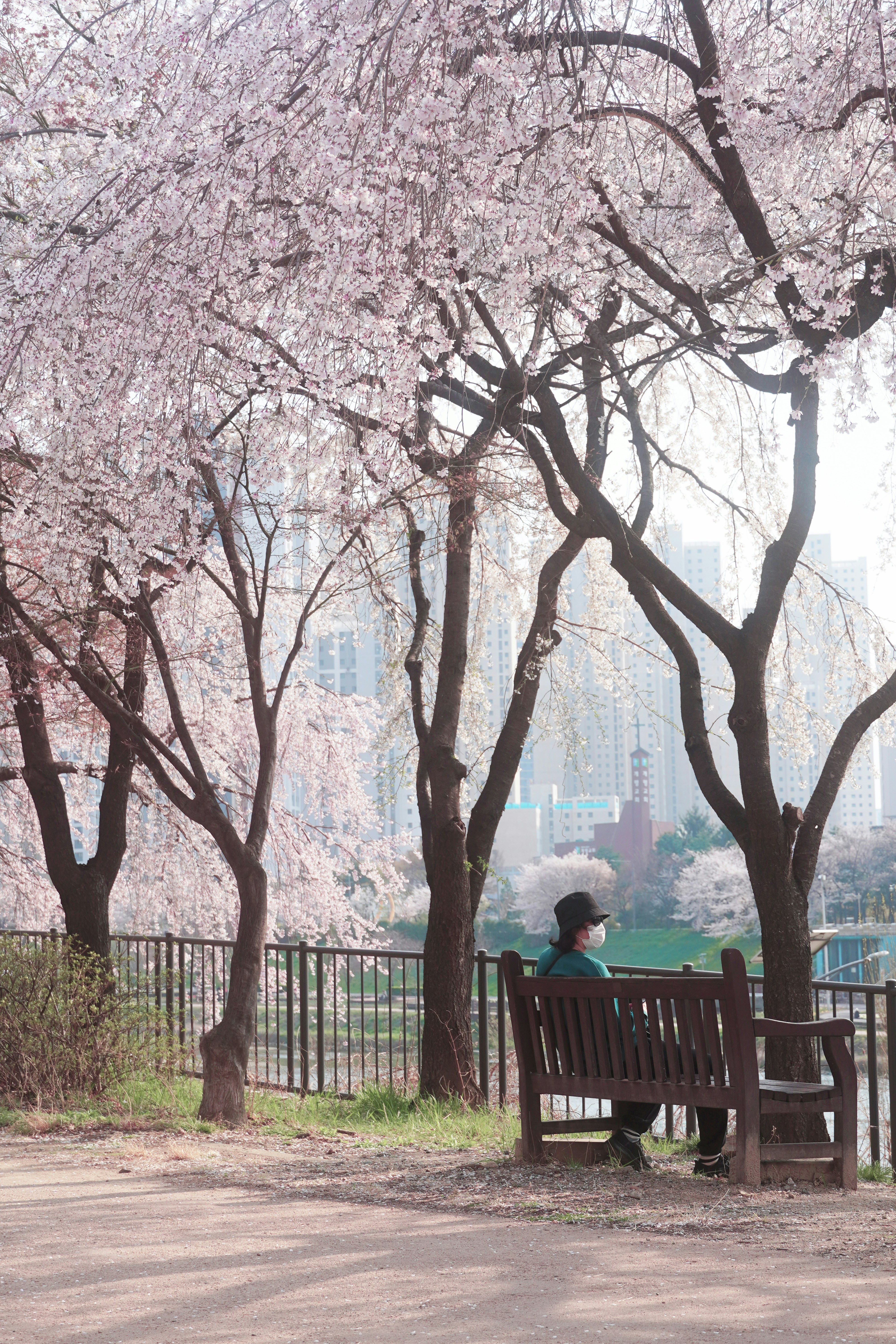Photo by lifeinkorea