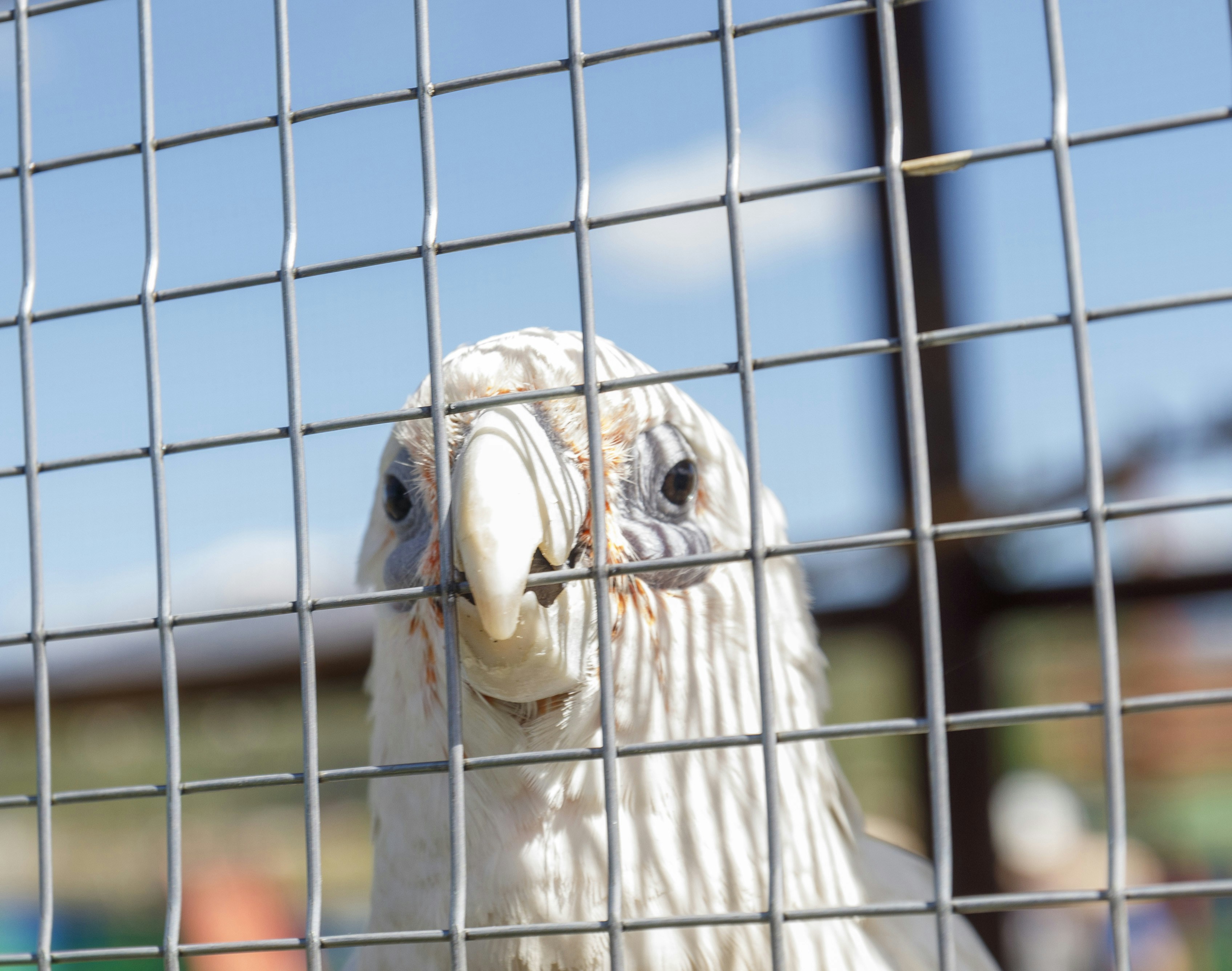 Photo by sporisevicphotography