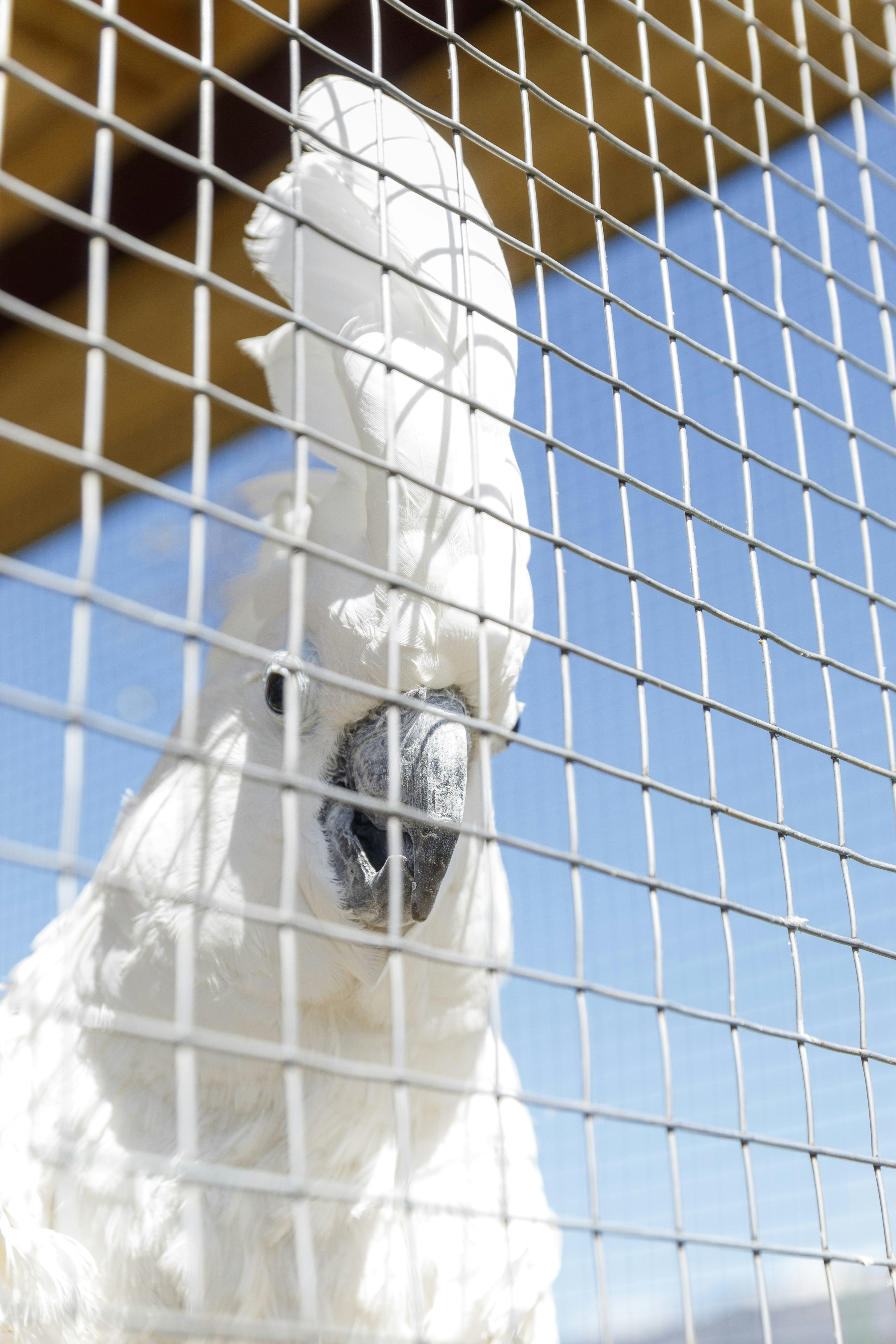 Photo by sporisevicphotography