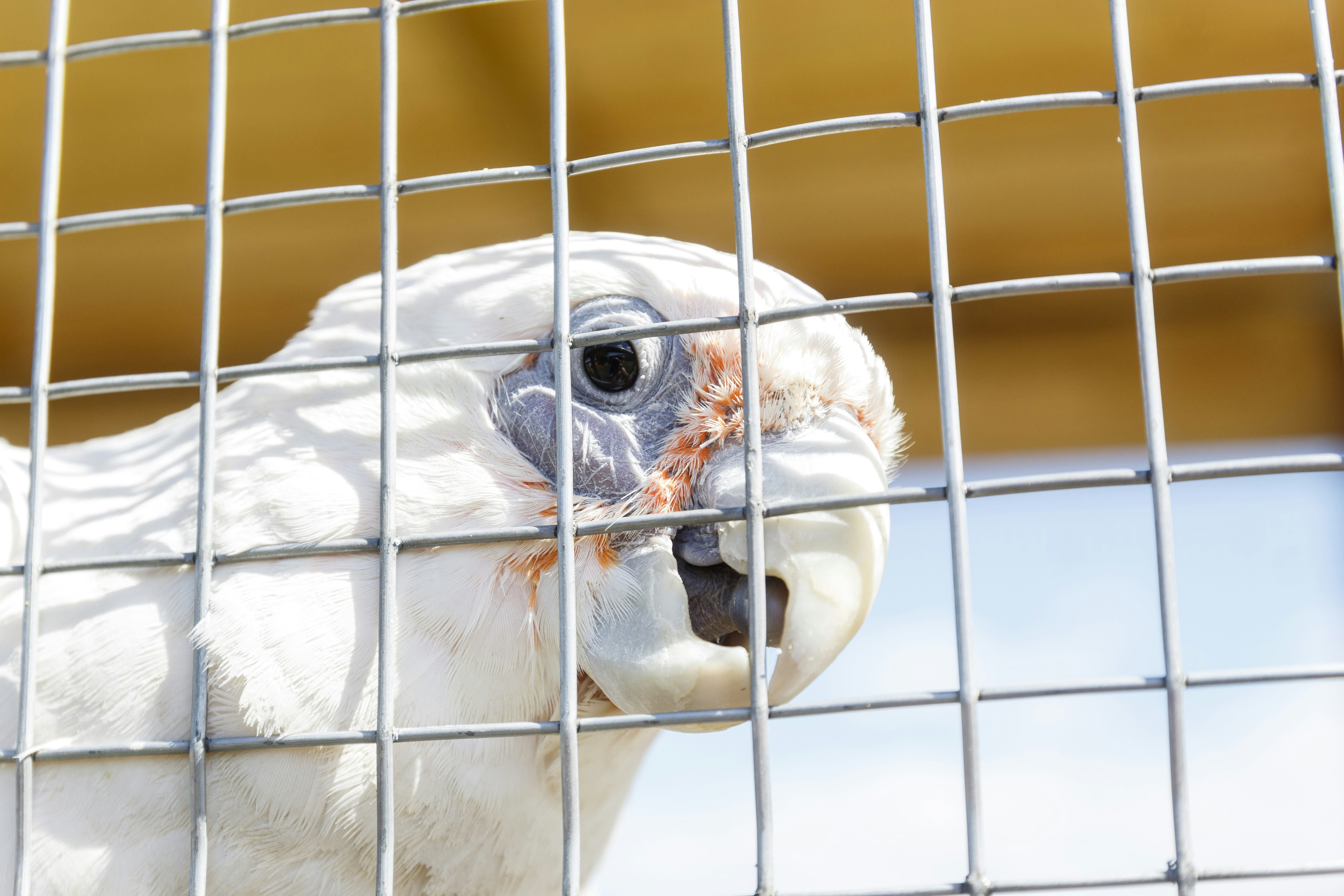 Photo by sporisevicphotography