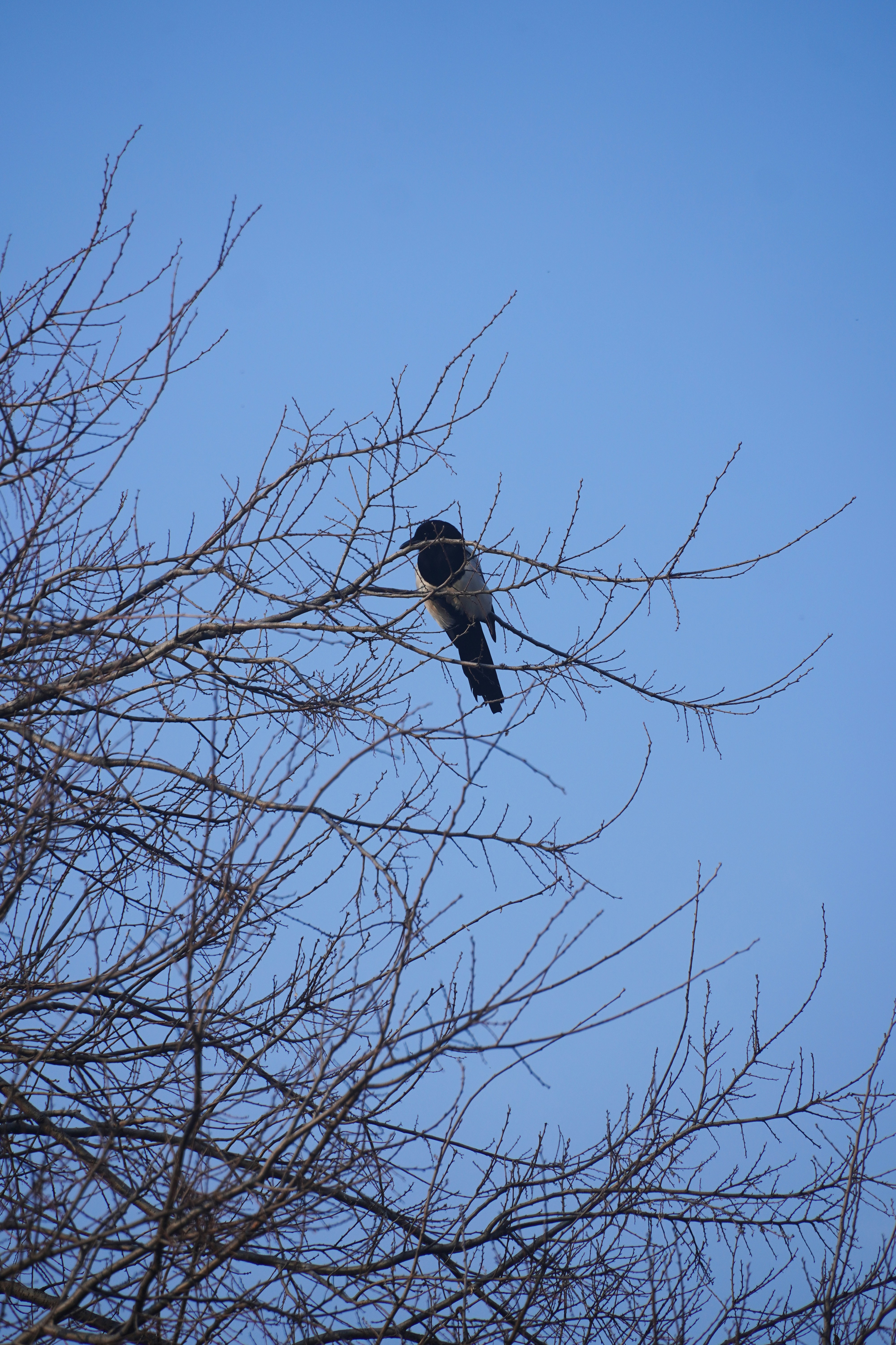 Photo by lifeinkorea